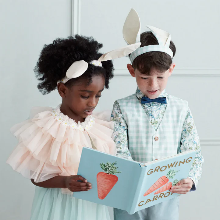 Gingham Bunny Costume - Image 3