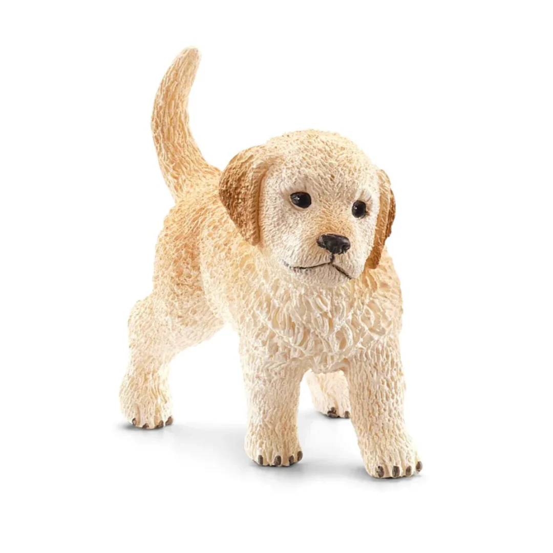 Golden Retriever Puppy