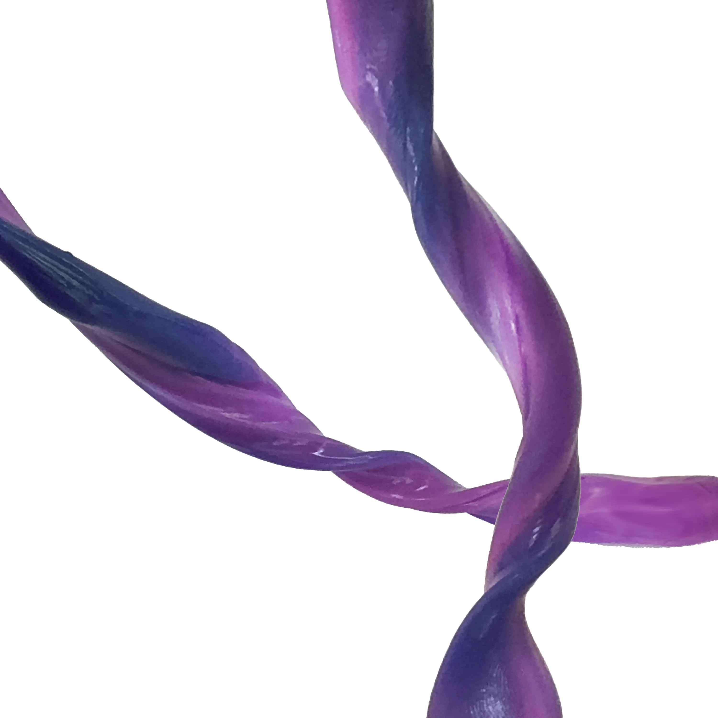 Gootonium: Thermo Blue to Pink Putty - 20g - Image 3