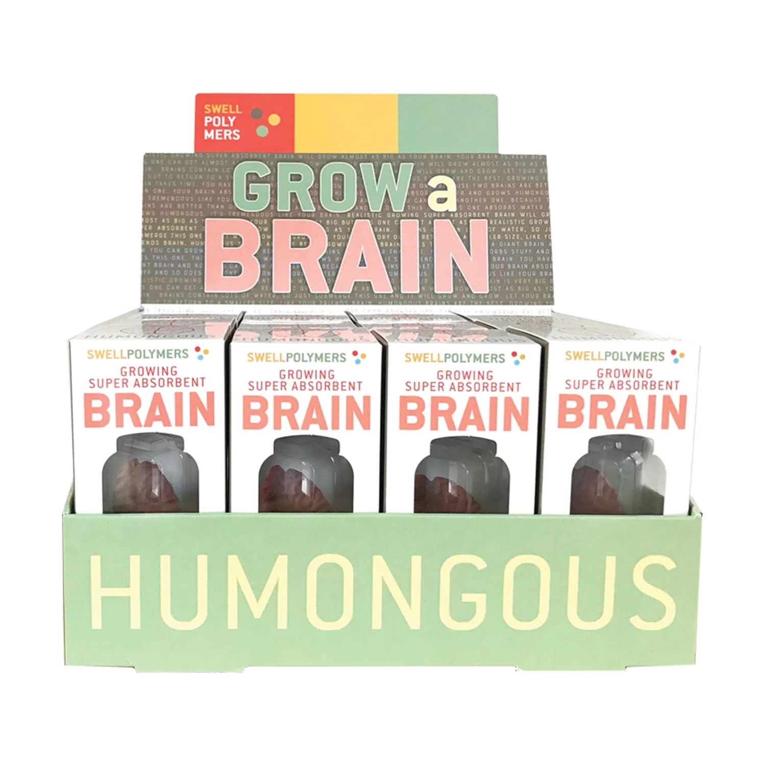 Grow a Brain 0Anatomy Model Polymer Brain Science Kit - Image 5