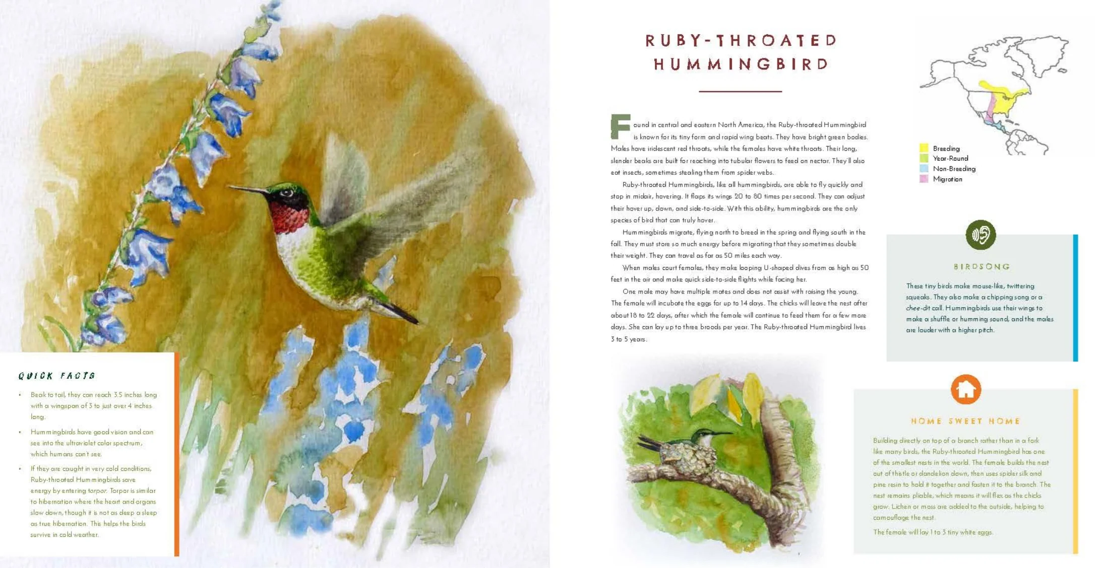 Hear Them Sing: A Kid's Book of North American Bird Songs and Calls - Image 13
