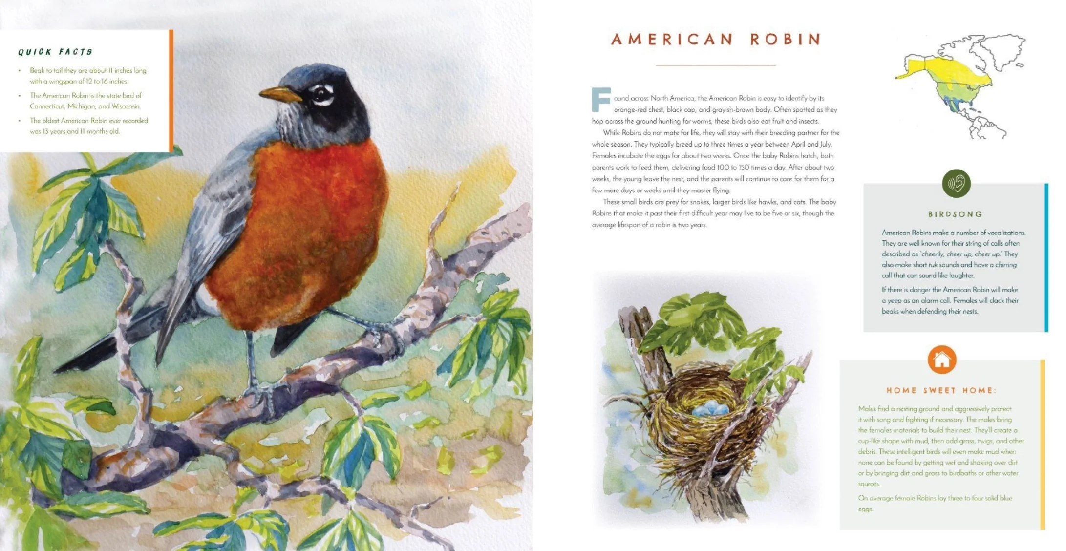 Hear Them Sing: A Kid's Book of North American Bird Songs and Calls - Image 2
