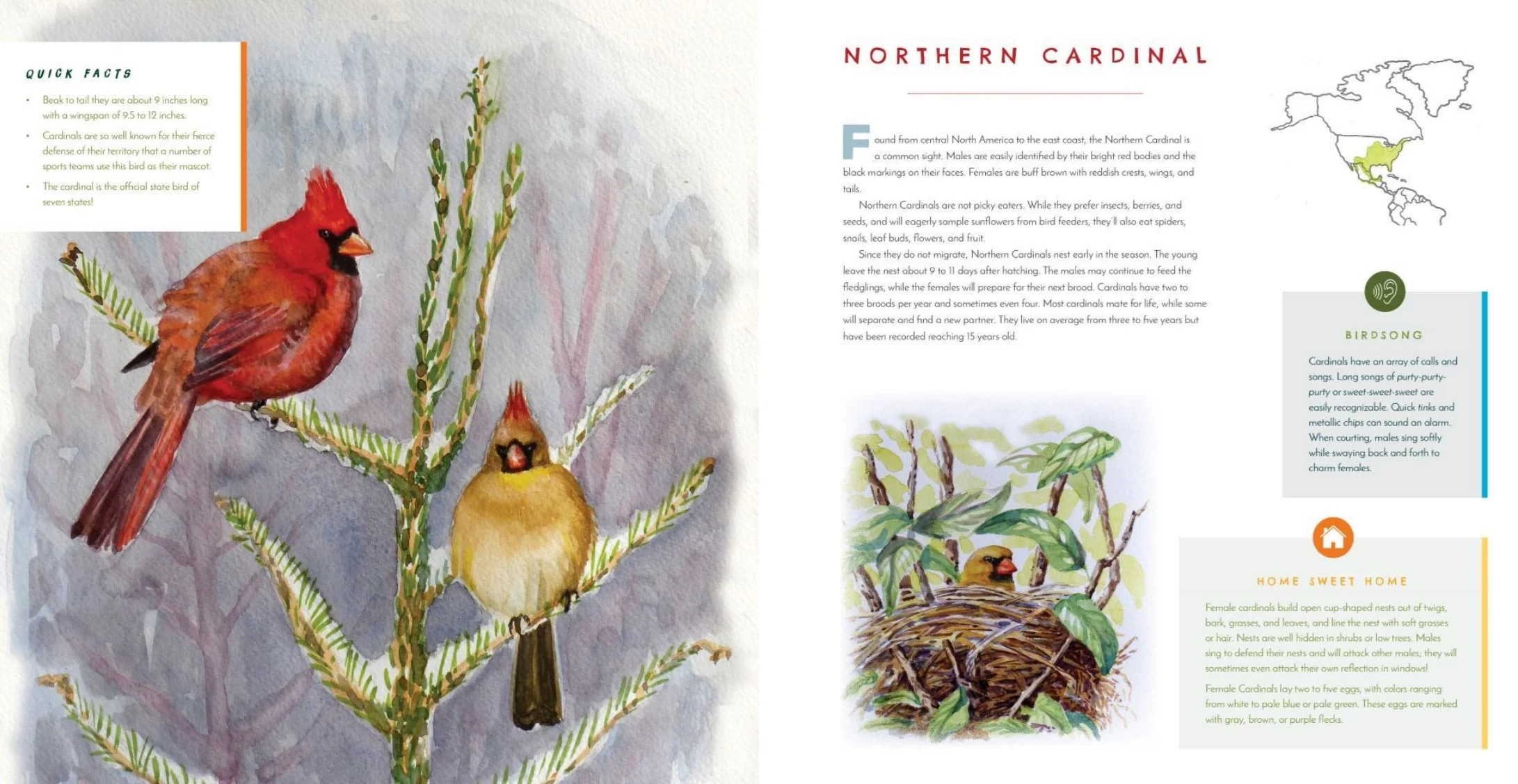Hear Them Sing: A Kid's Book of North American Bird Songs and Calls - Image 3