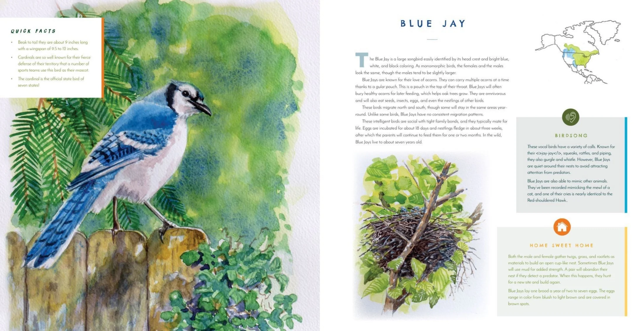 Hear Them Sing: A Kid's Book of North American Bird Songs and Calls - Image 4