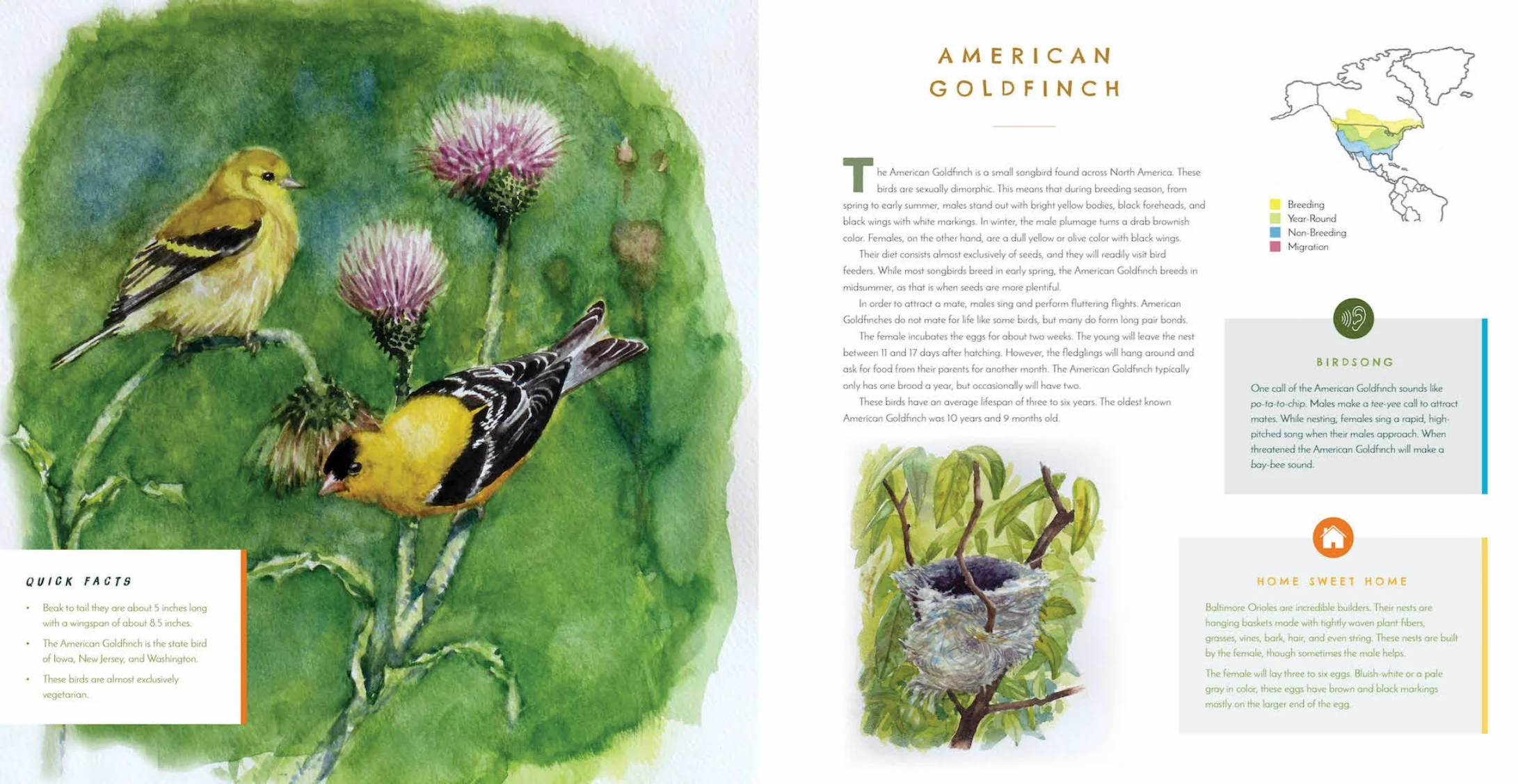 Hear Them Sing: A Kid's Book of North American Bird Songs and Calls - Image 5
