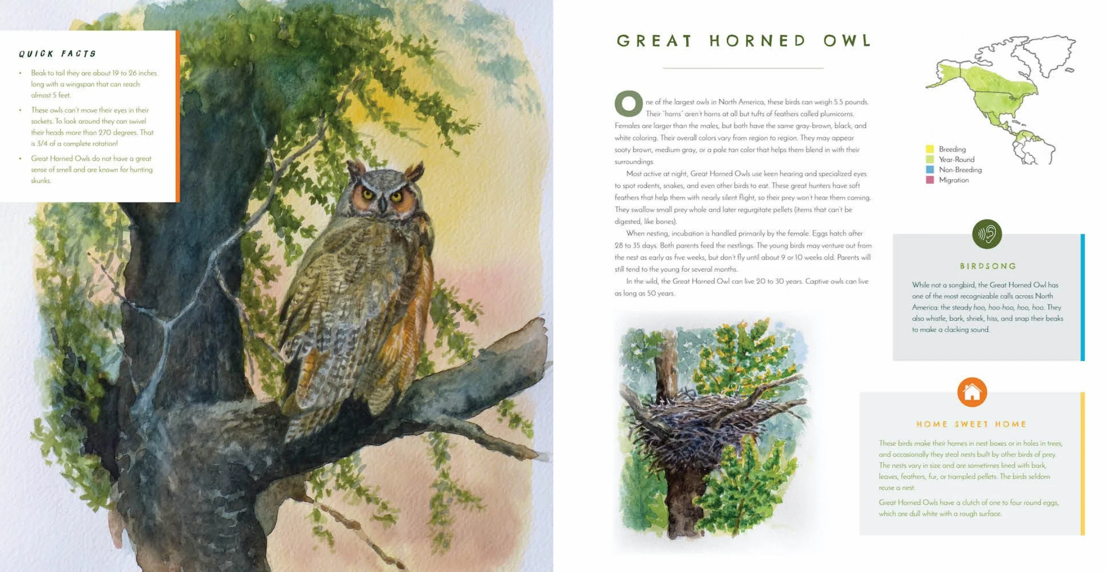 Hear Them Sing: A Kid's Book of North American Bird Songs and Calls - Image 8