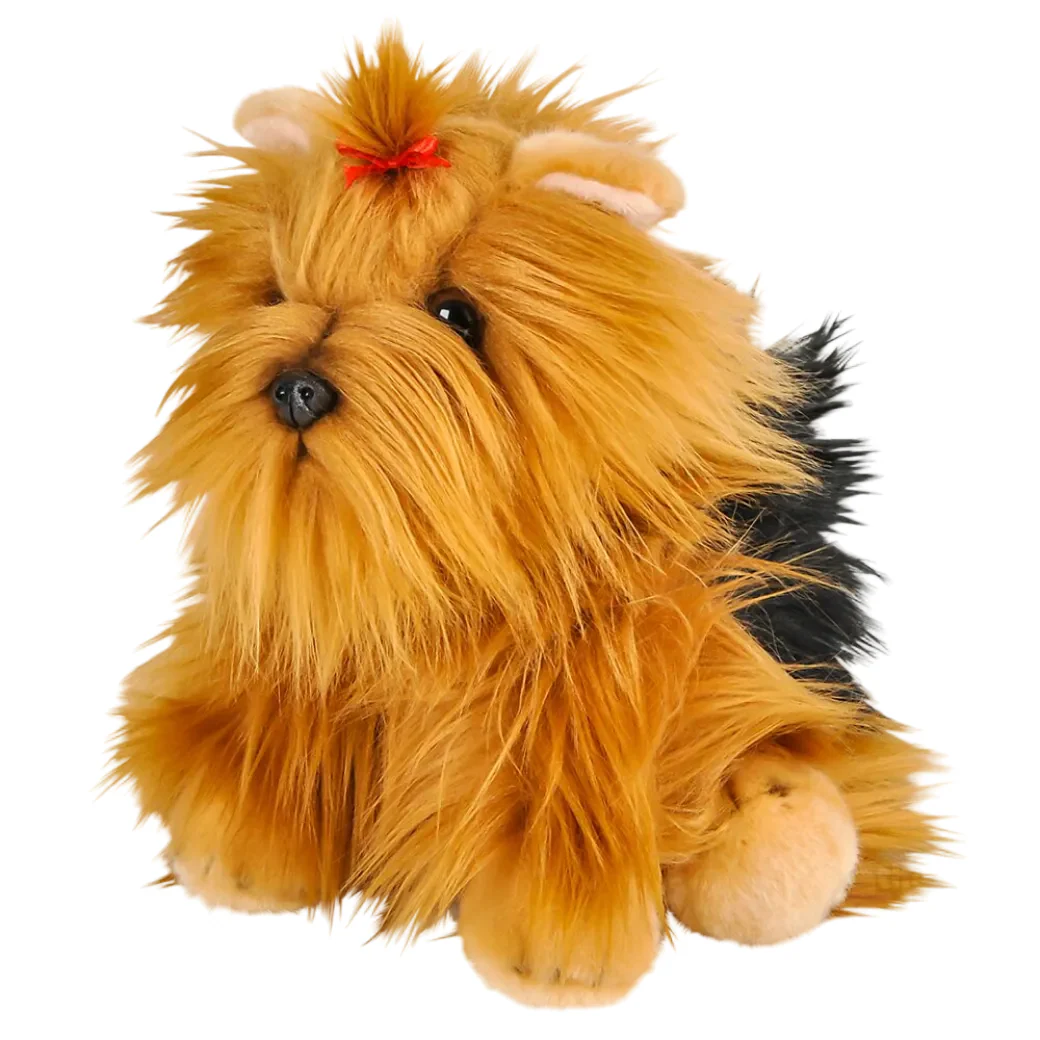 Heirloom Floppy Yorkshire Terrier - Image 3