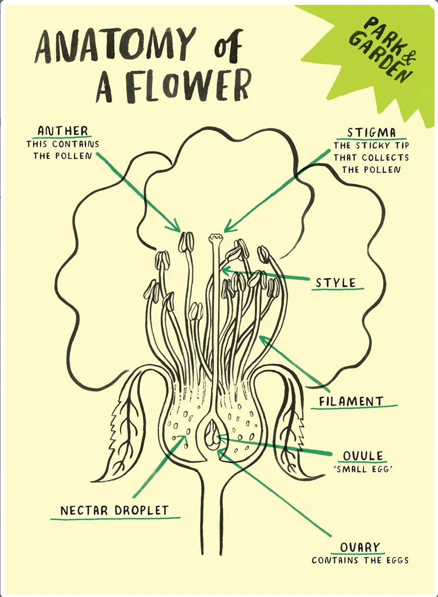 Hello Nature Activity Cards: 30 Activities - Image 10
