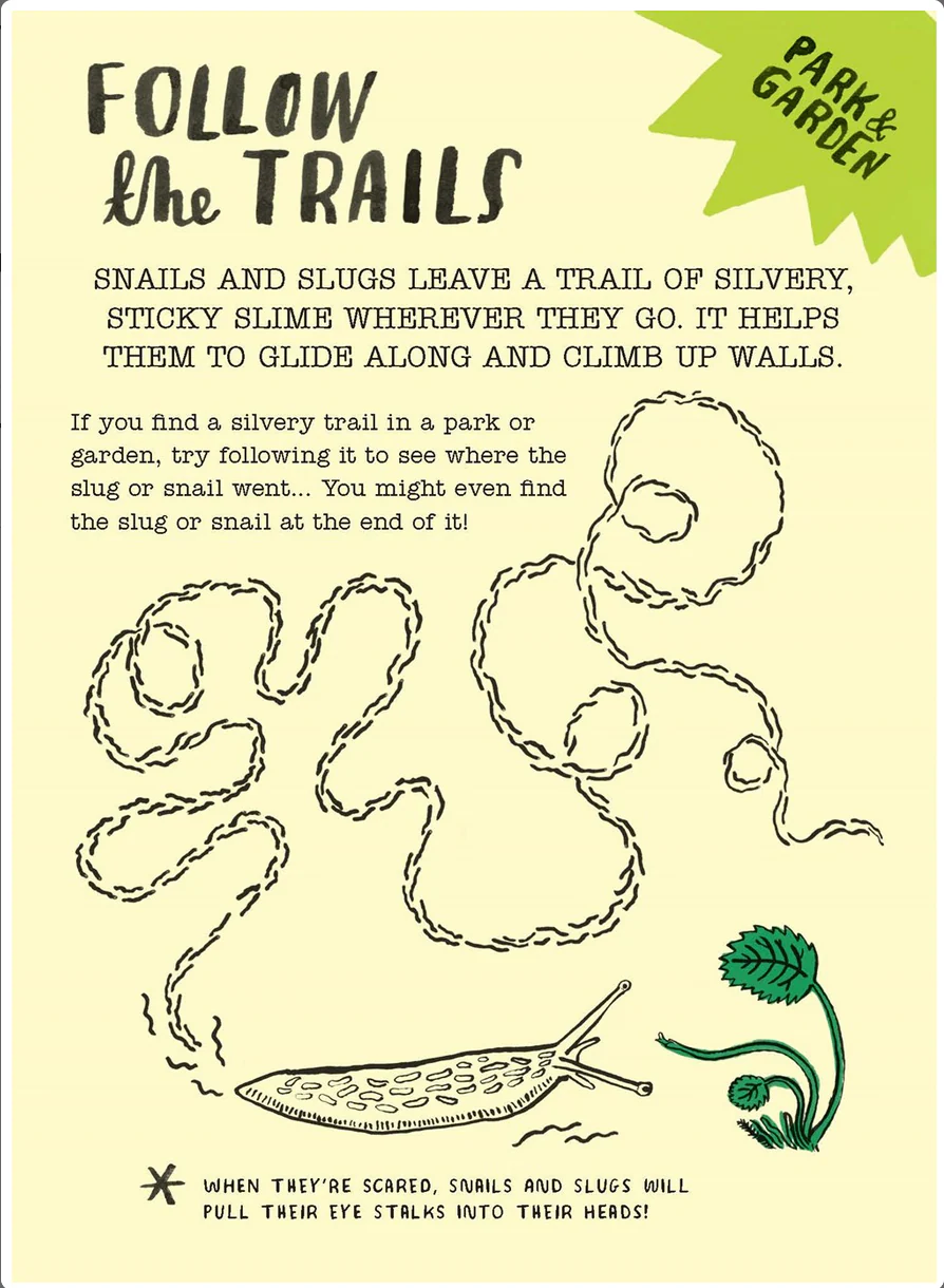 Hello Nature Activity Cards: 30 Activities - Image 4