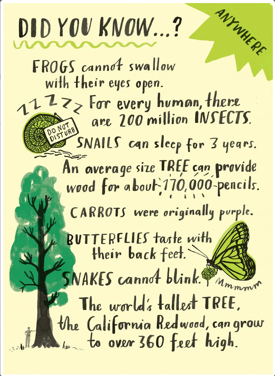 Hello Nature Activity Cards: 30 Activities - Image 6