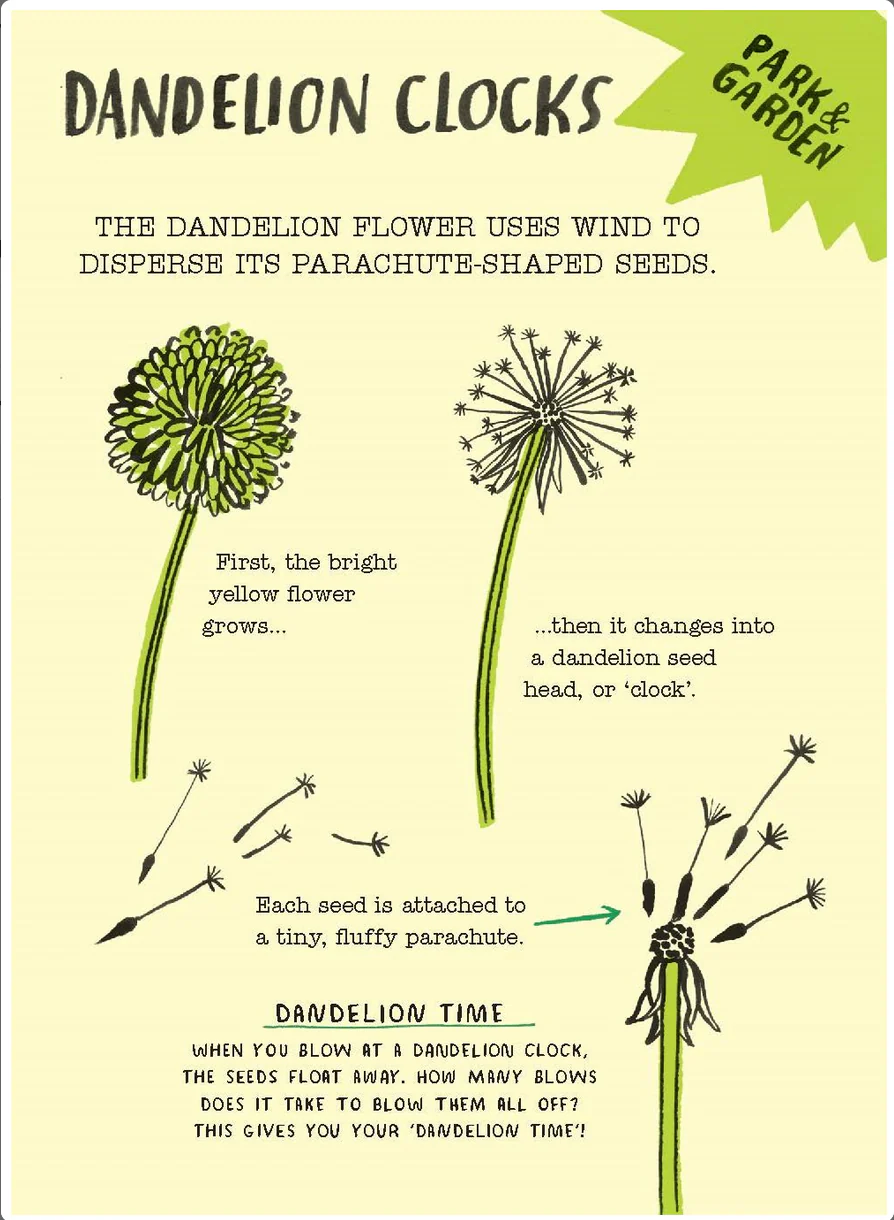 Hello Nature Activity Cards: 30 Activities - Image 8