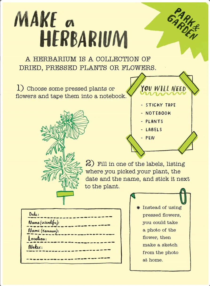 Hello Nature Activity Cards: 30 Activities - Image 9