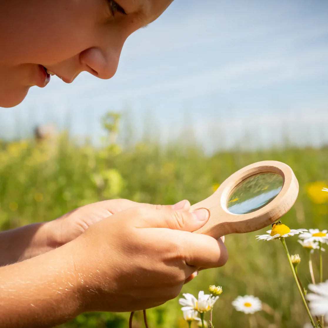 Huckleberry Dual Magnifier - Image 3