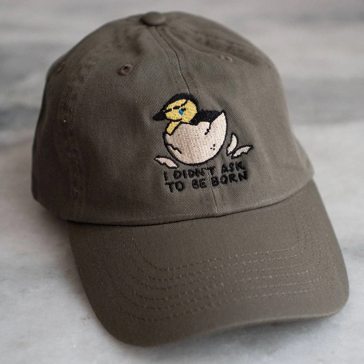 I Didn't Ask to be Born Dad Hat