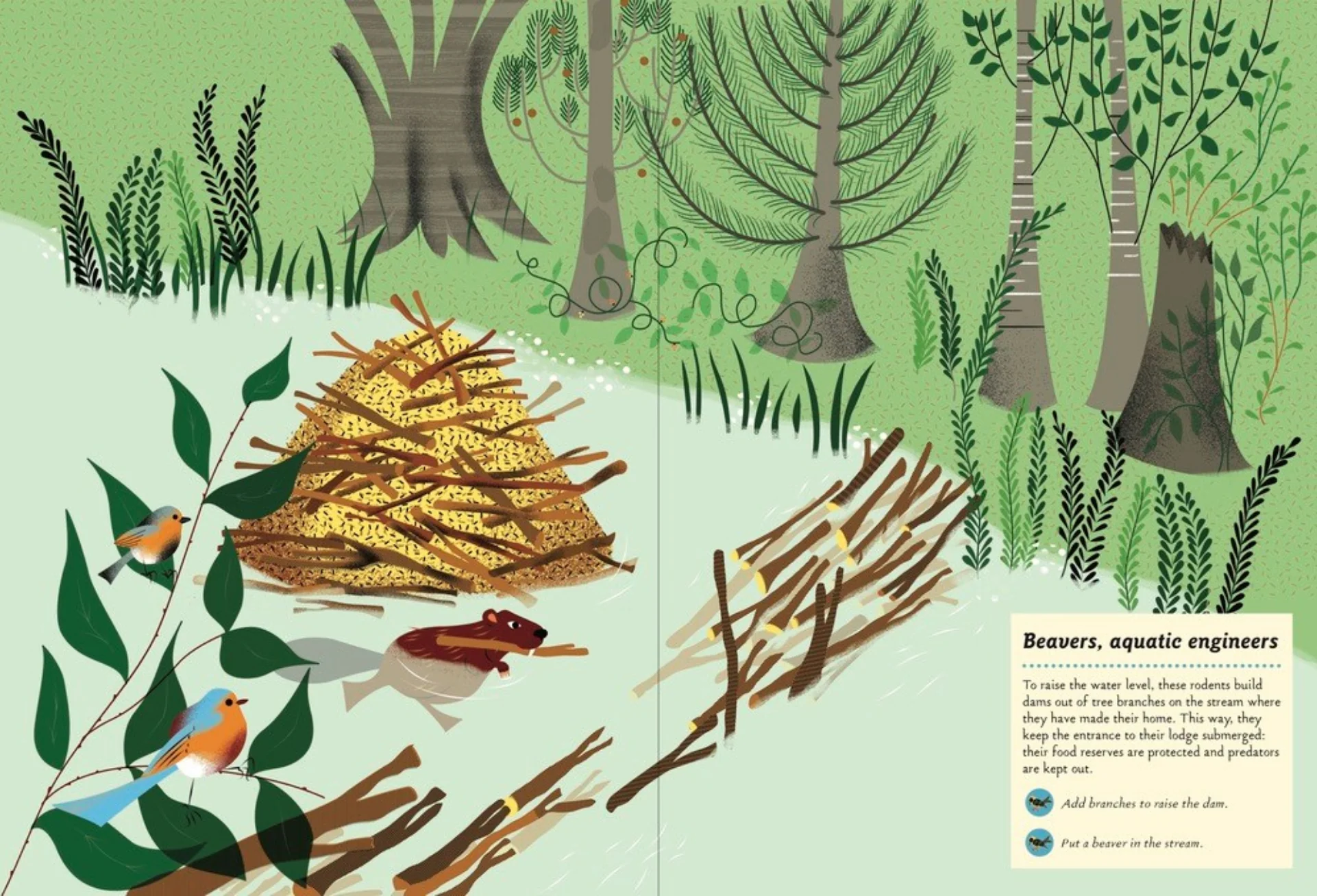 Inventive Animals: My Nature Sticker Activity Book - Image 2
