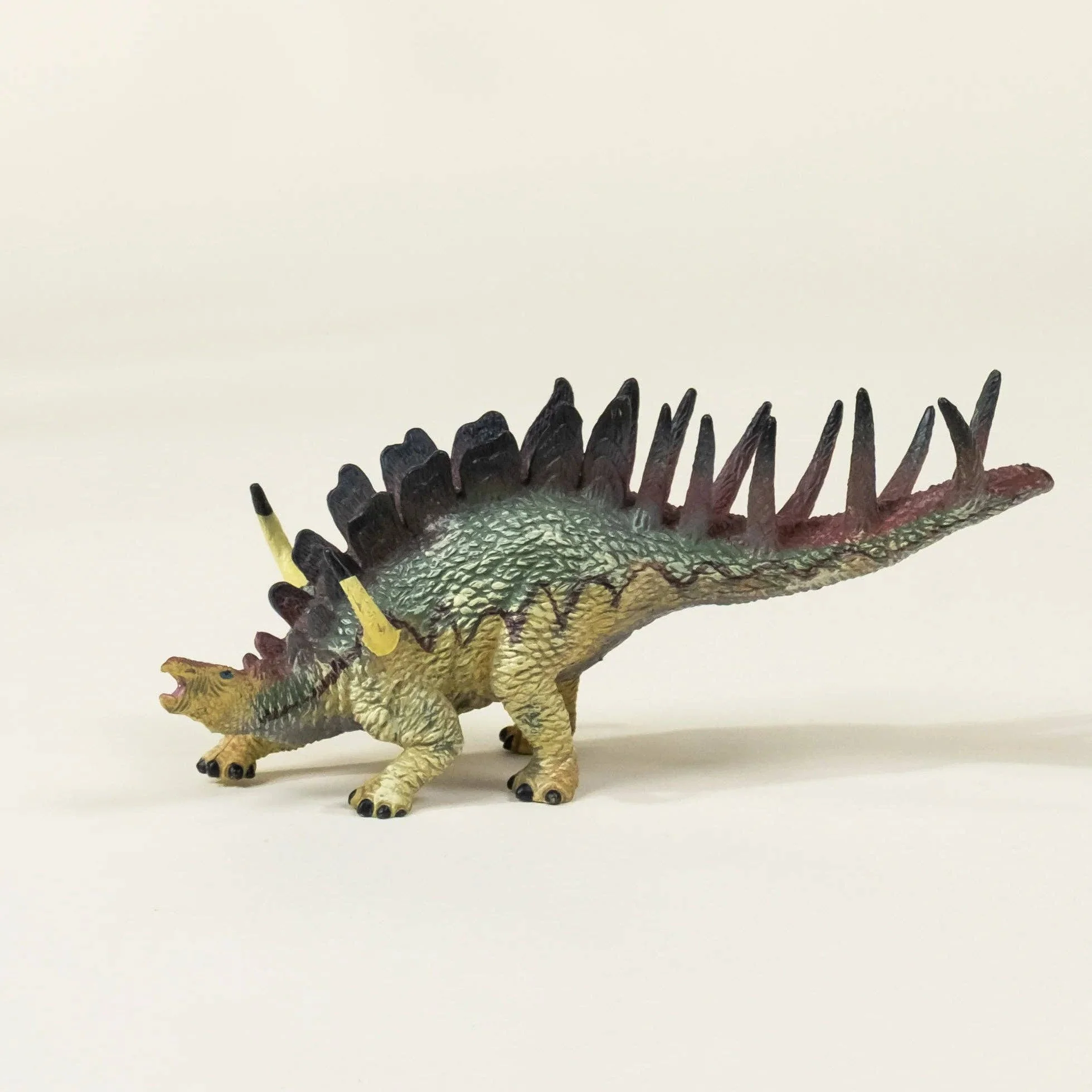 Kentrosaurus Dinosaur in a Collectible Box