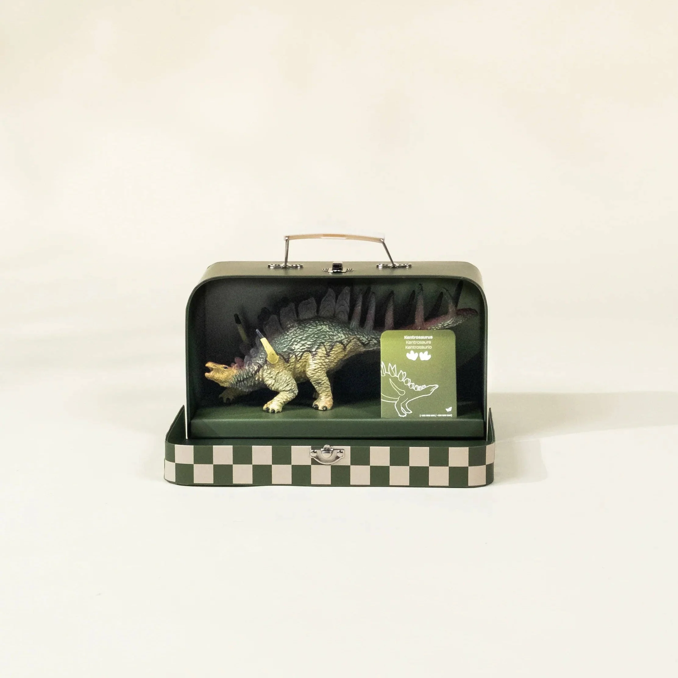 Kentrosaurus Dinosaur in a Collectible Box - Image 4