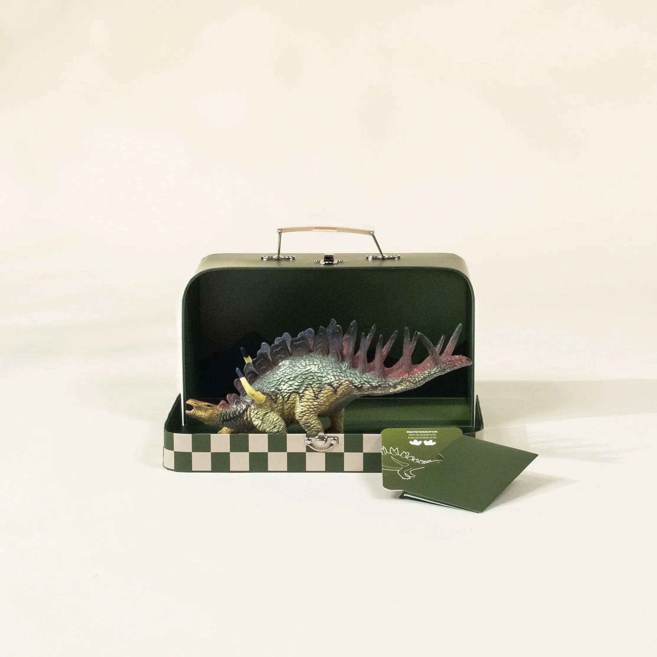 Kentrosaurus Dinosaur in a Collectible Box - Image 5
