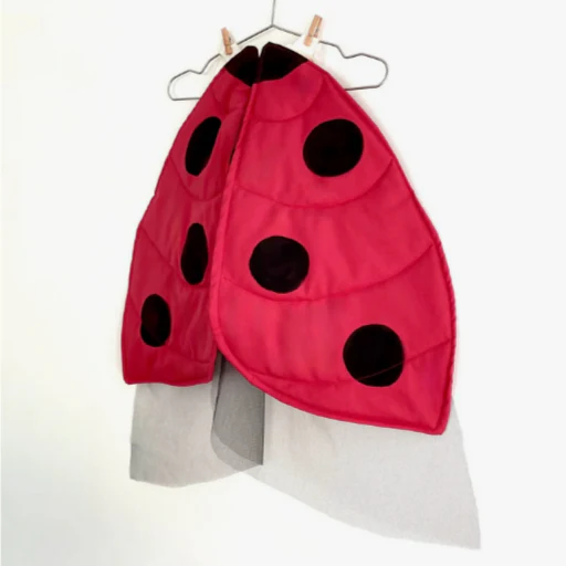 Ladybug Wings - Image 2