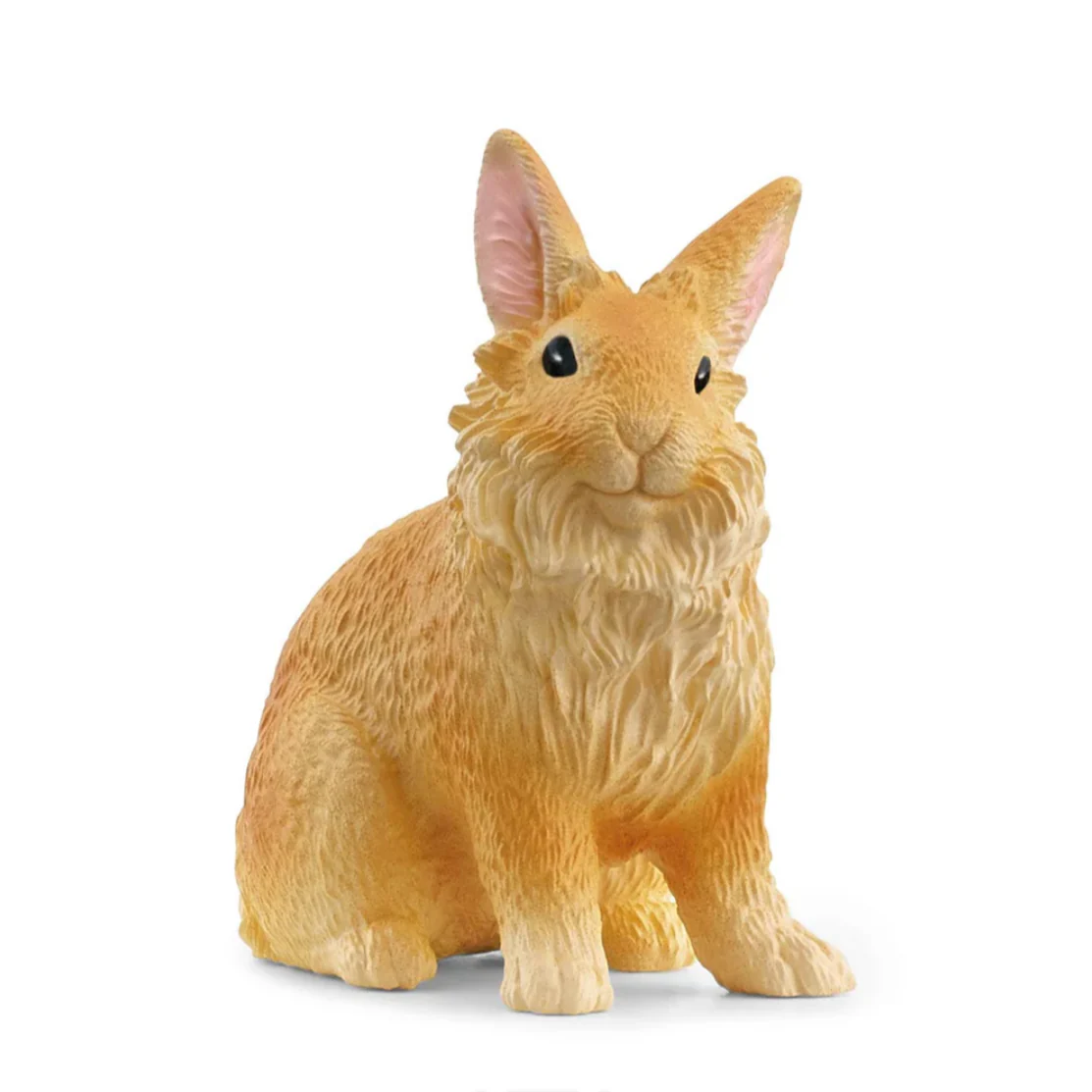 Lionhead Rabbit