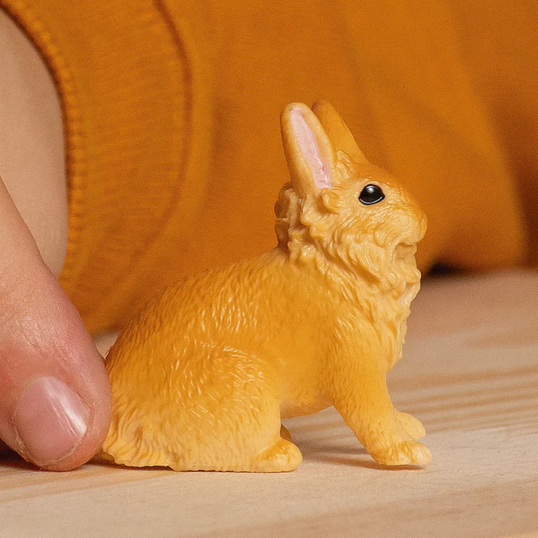 Lionhead Rabbit - Image 2