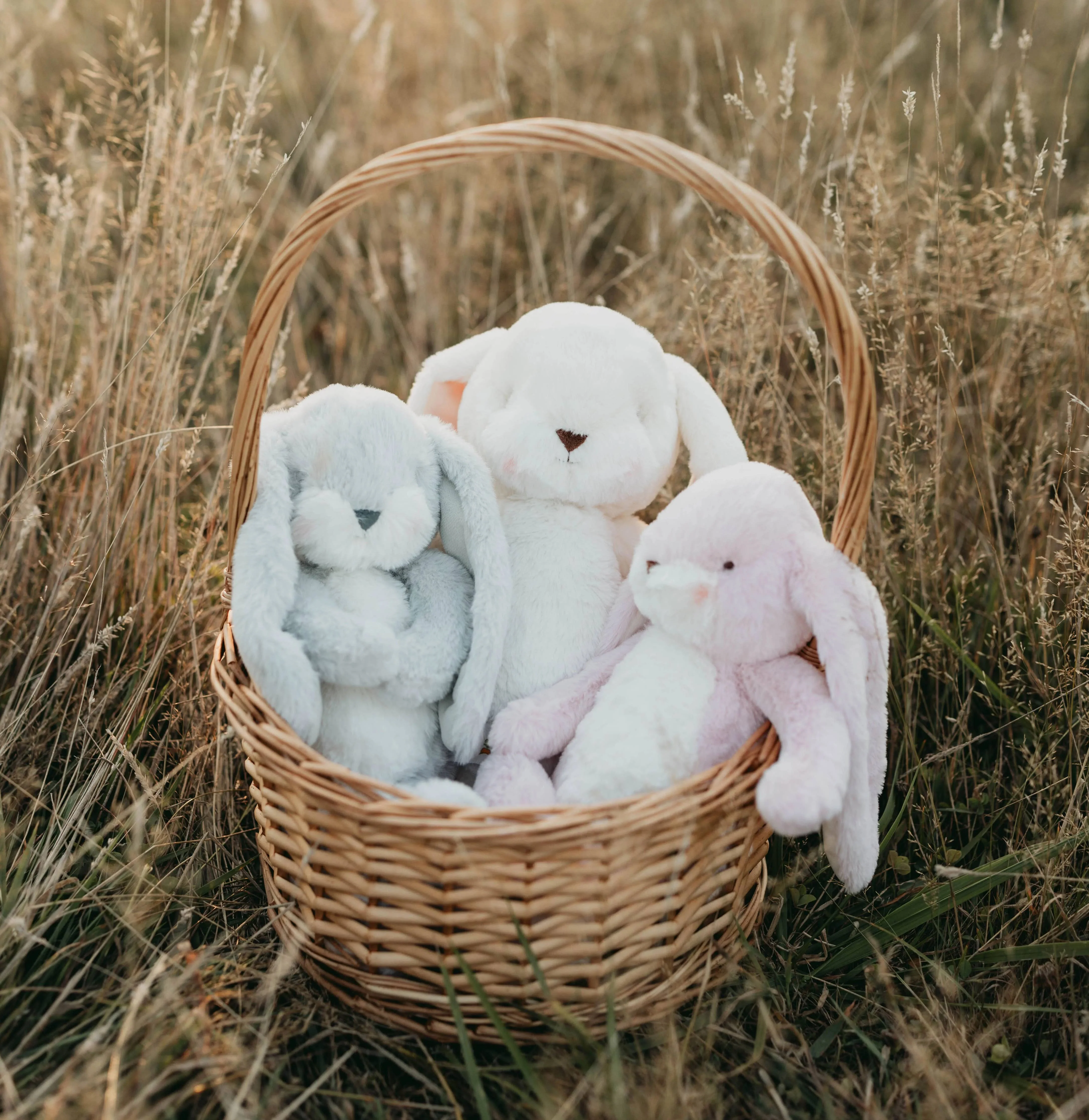 Little 12" Nibble Bunny - Pink - Image 6