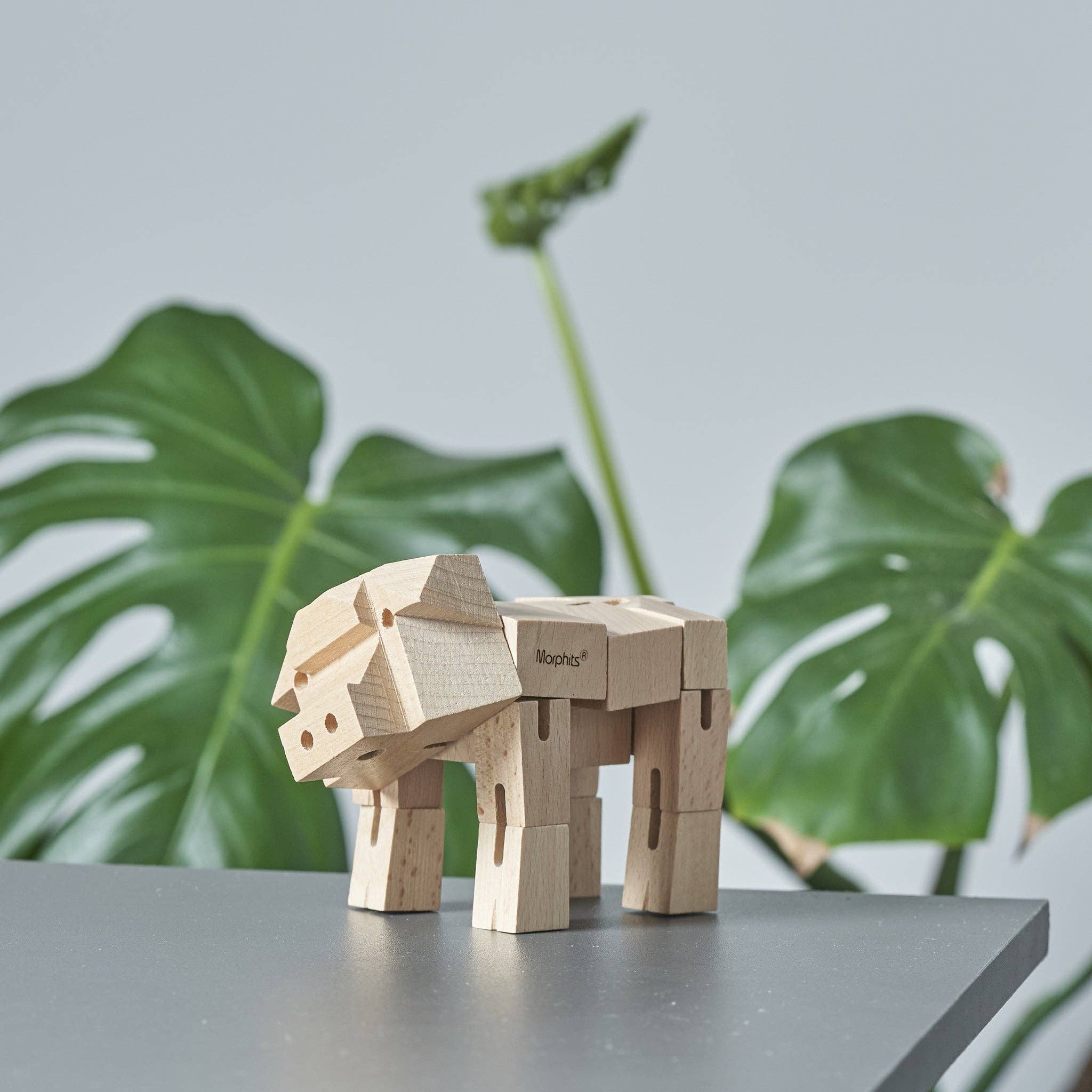 Morphits Pig Wooden Toy - Image 13