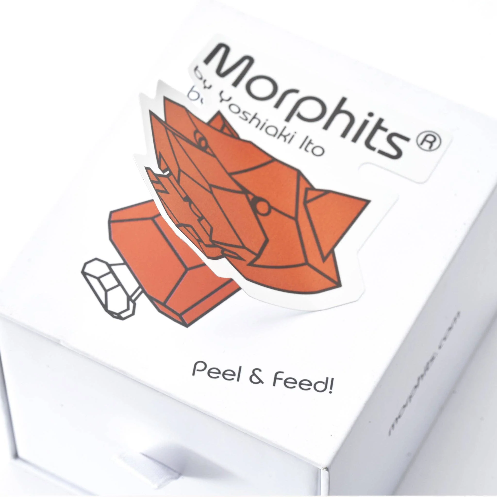 Morphits Tiger Wooden Toy - Image 15