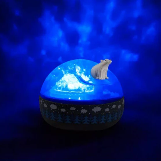 Musical Projector - Bear on the Ice Floe - Image 2