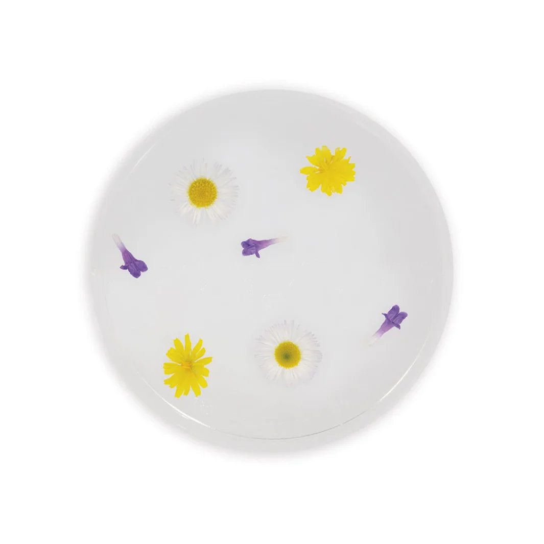 Observation glass - Image 4