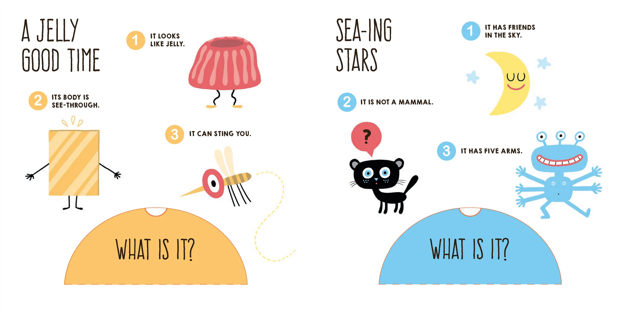 Ocean Riddles: A Nautical Lift-the-Flap Book - Image 6