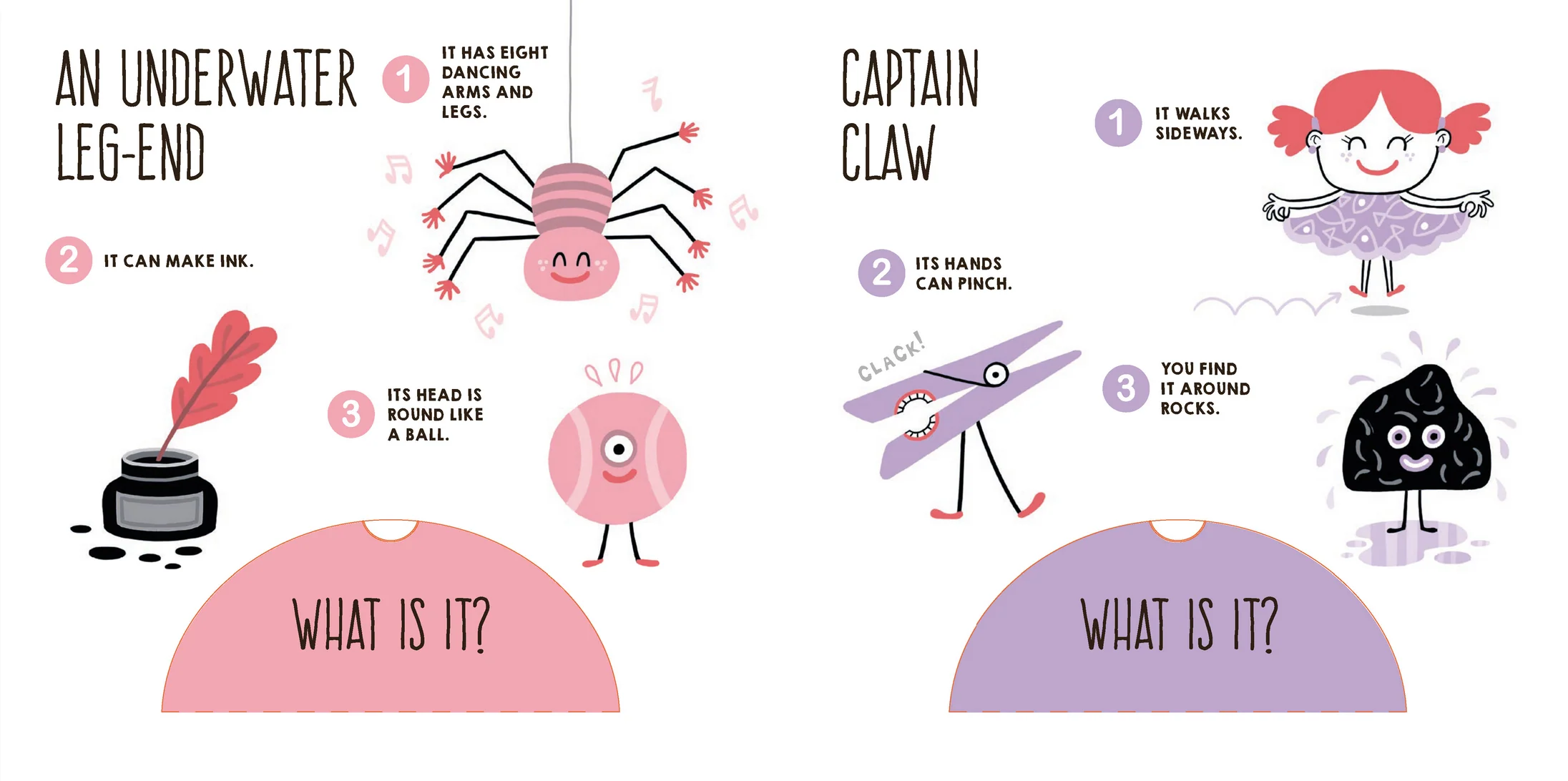 Ocean Riddles: A Nautical Lift-the-Flap Book - Image 9