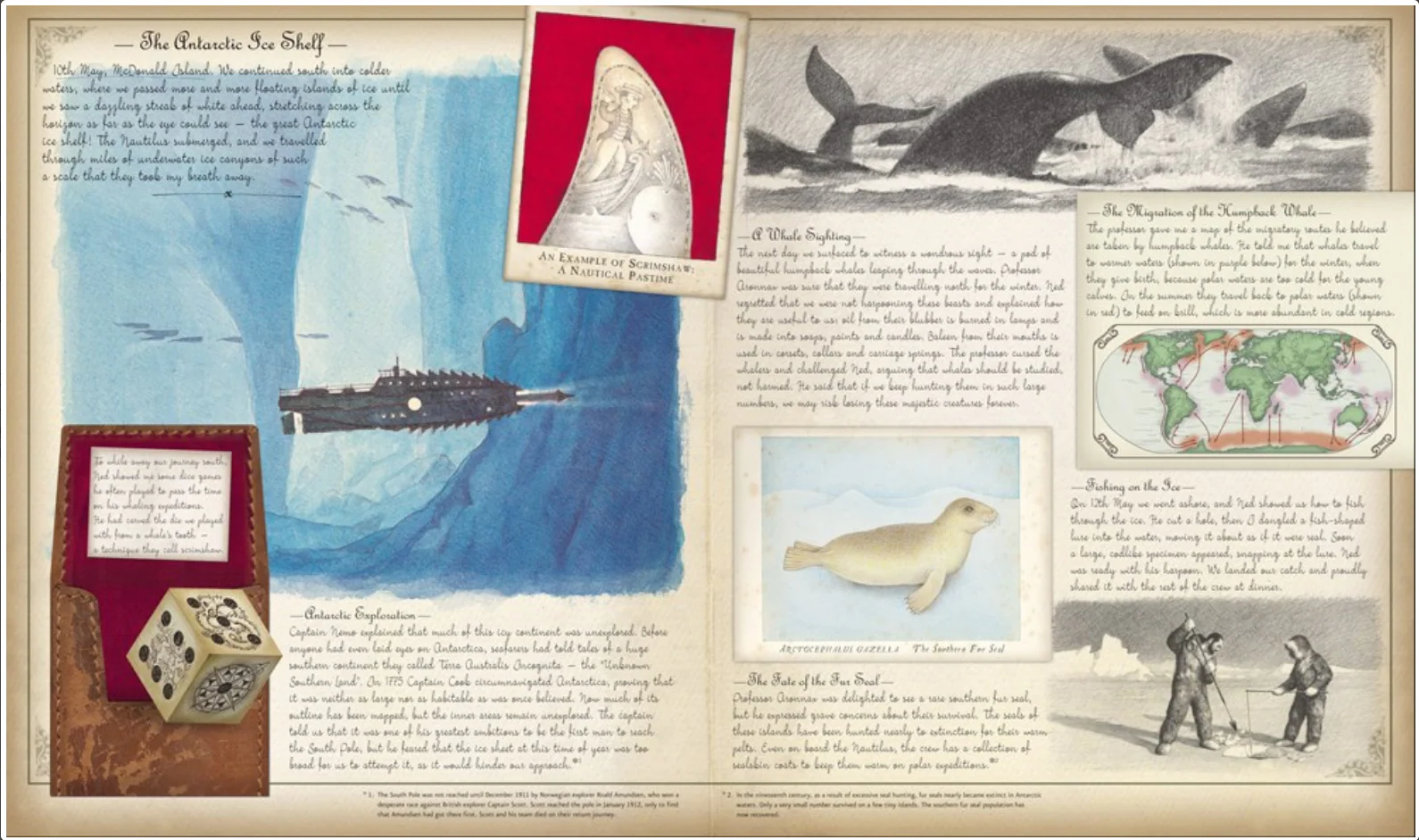 Oceanology: The True Account of the Voyage of the Nautilus - Image 2