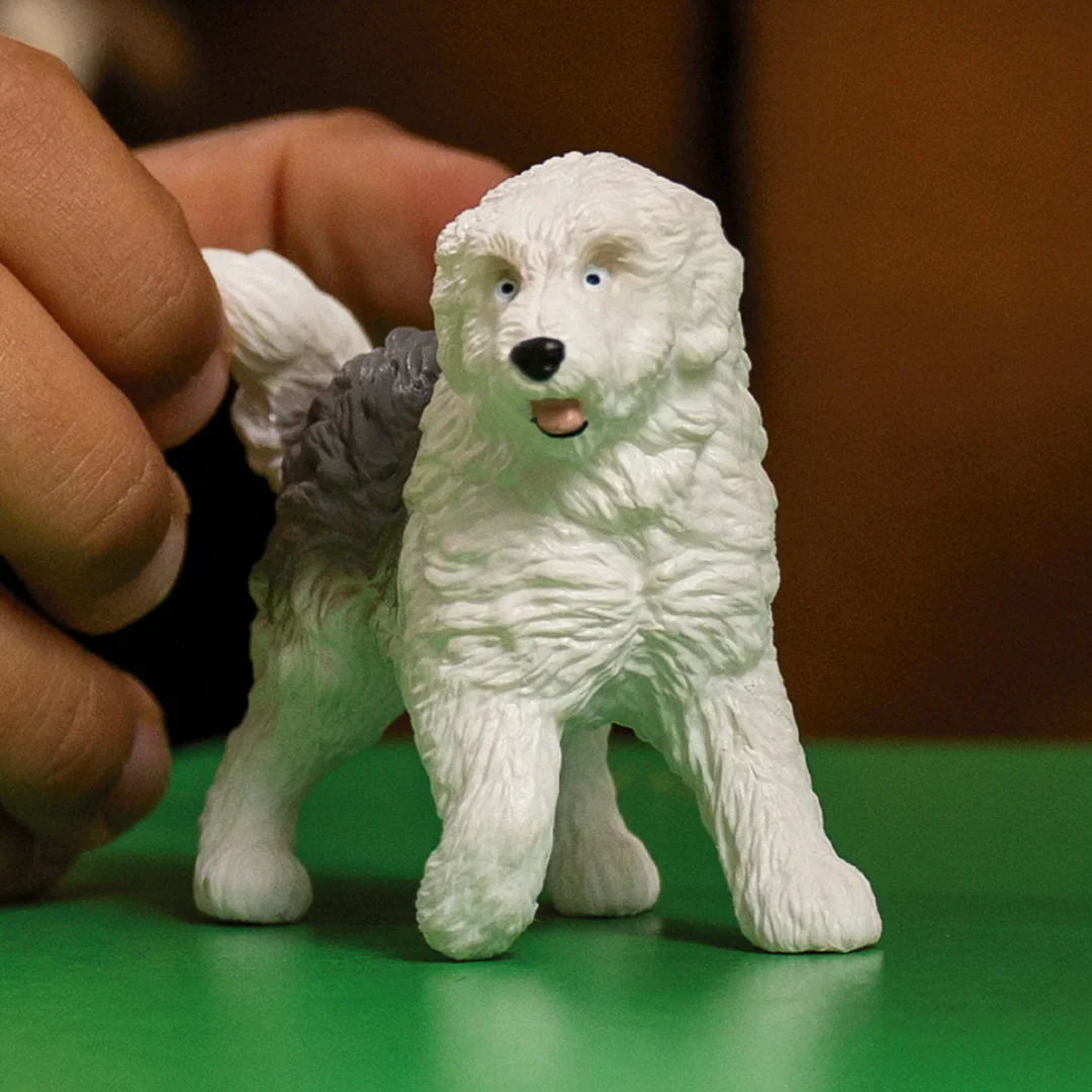 Old English Sheepdog - Image 2