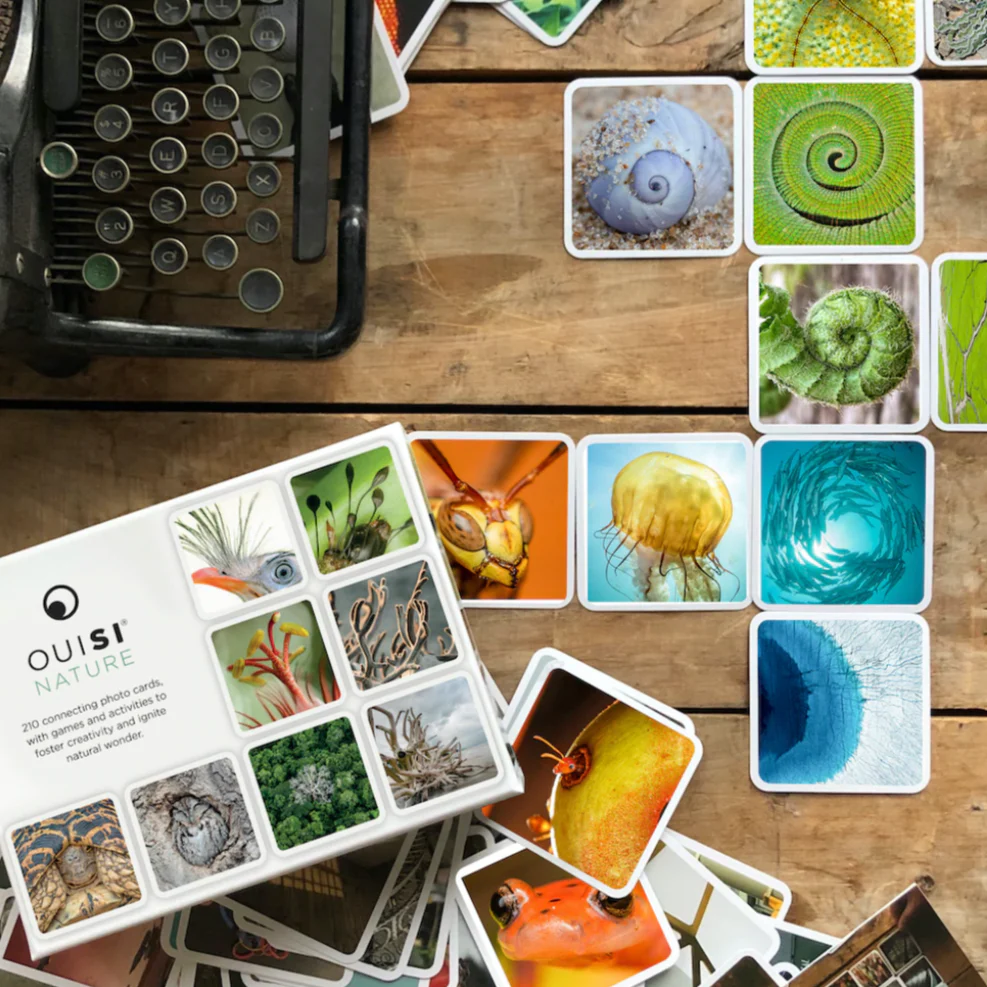 OuiSi Nature: Games of Visual Connection