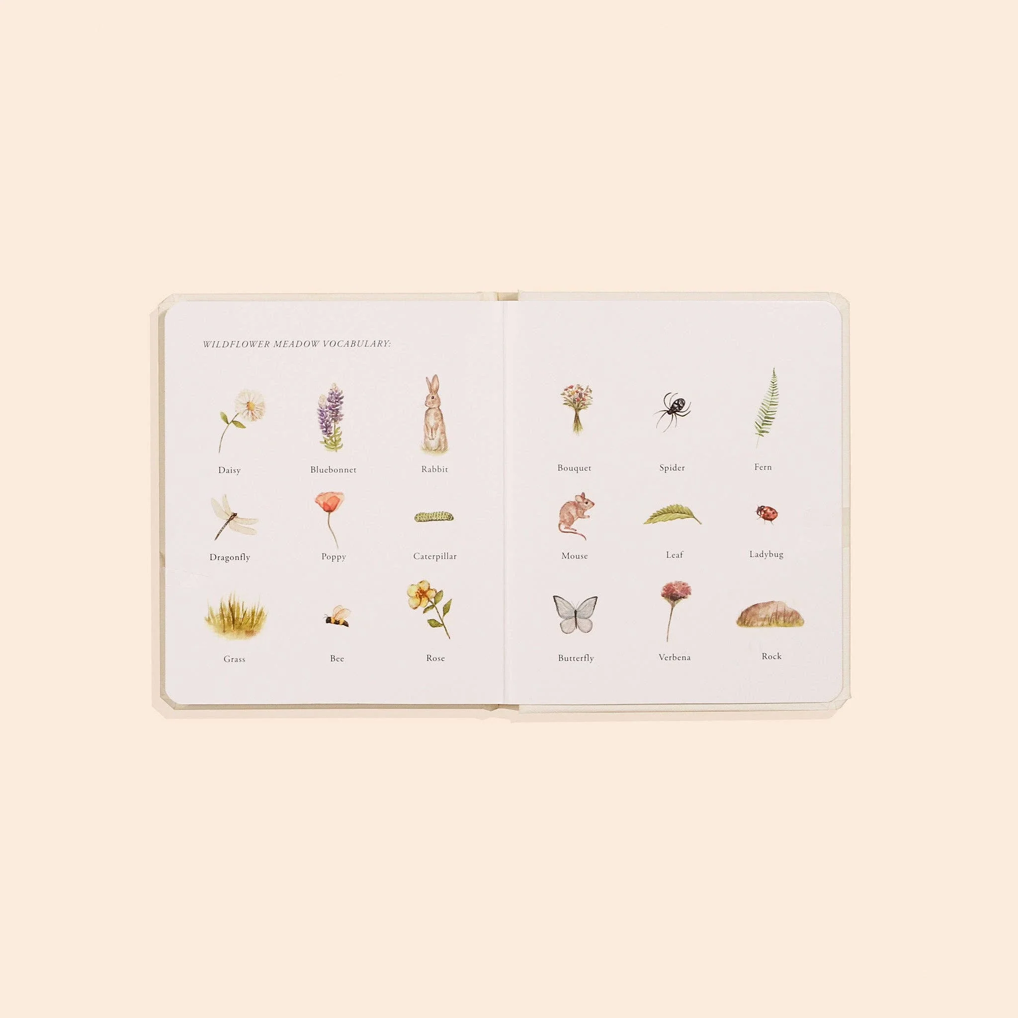 Our Little Adventures Box Set for Kids (3 Board Books) - Image 5