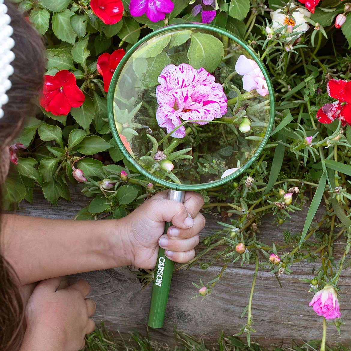 Oversized Handheld 2x Magnifying Glass