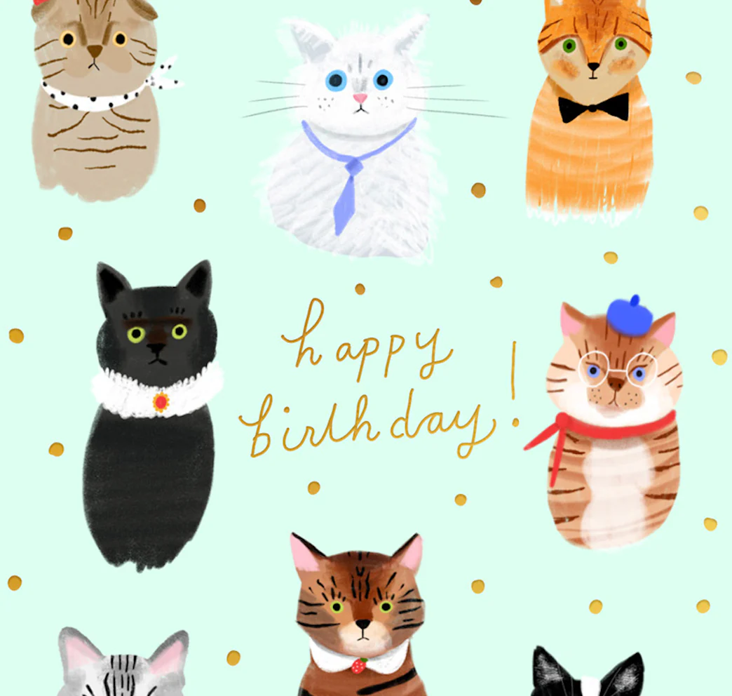 PARTY CATS  - Birthday Card - Image 3