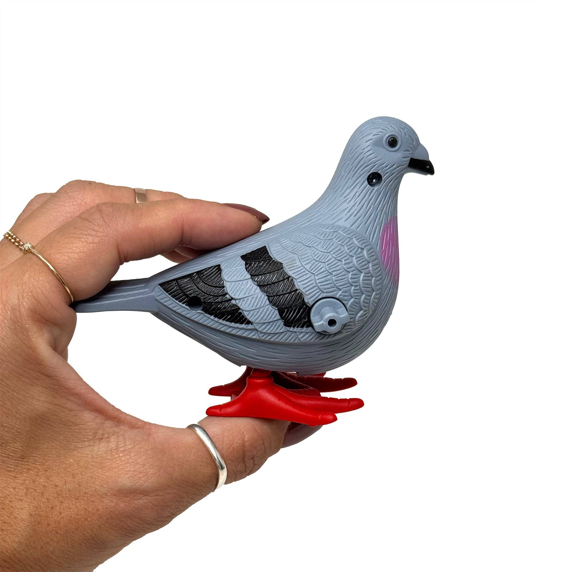 Paulie the Pigeon Wind-Up Toy - Image 5
