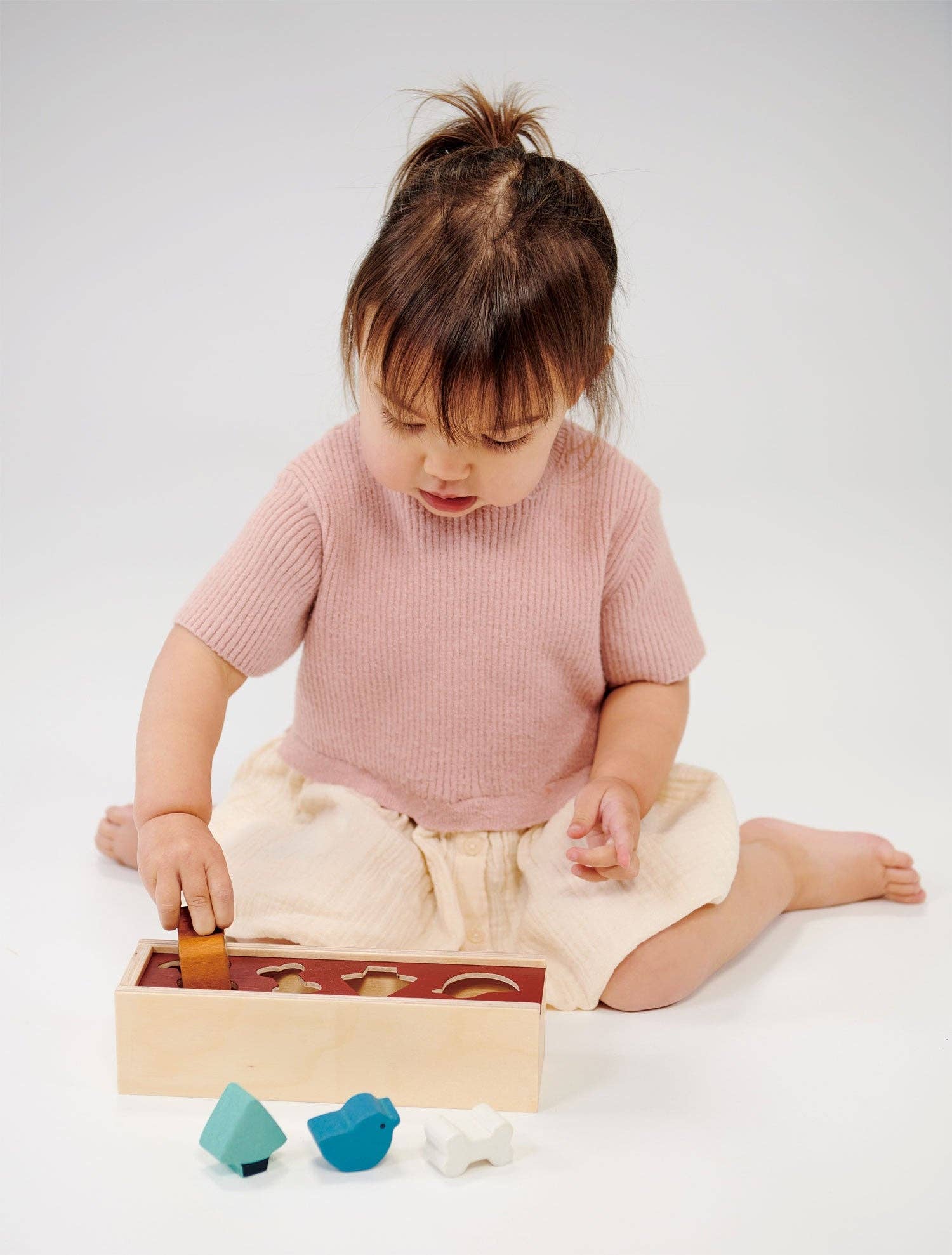 Pet Shape Sorting Box - Image 3