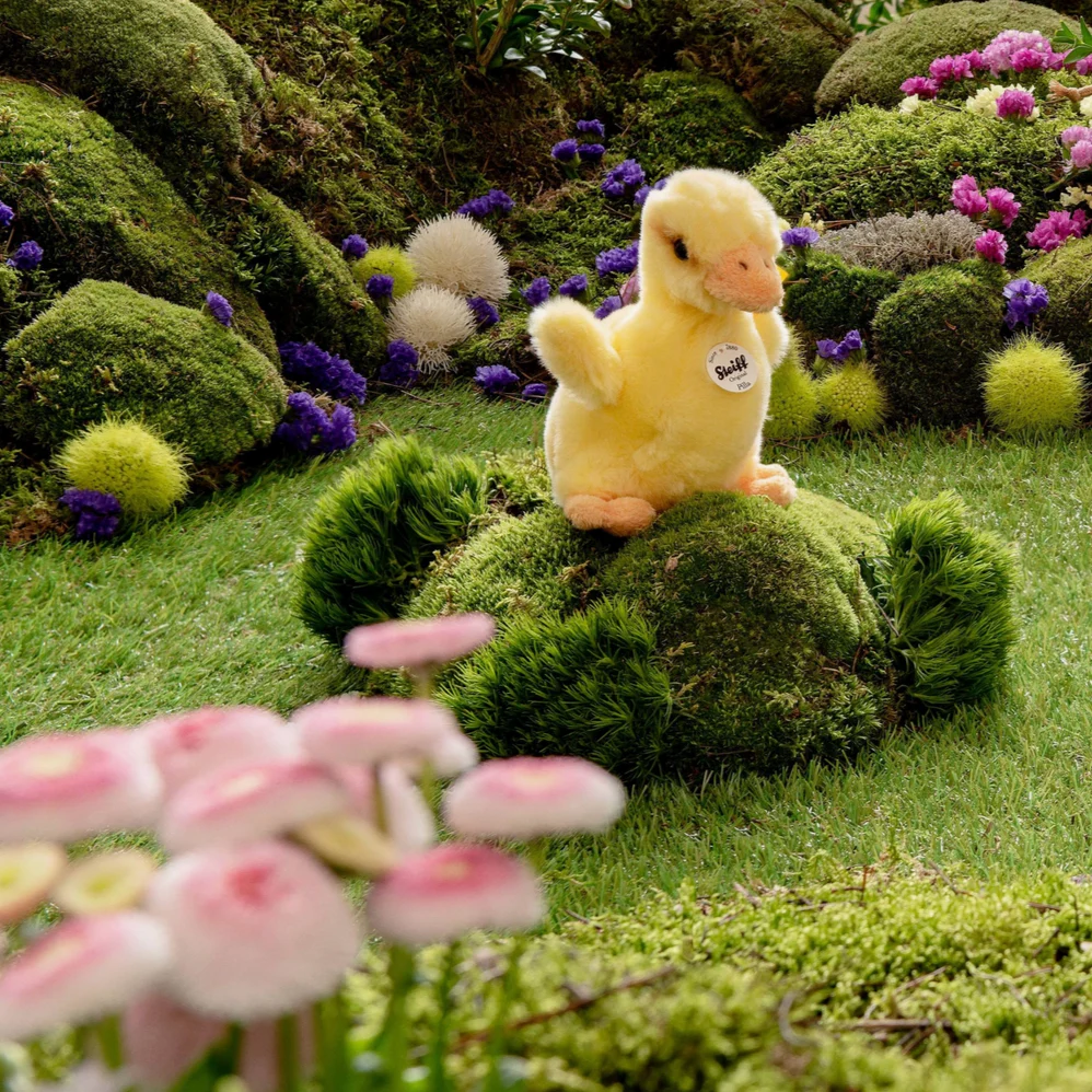 Pilla Duckling - Image 2