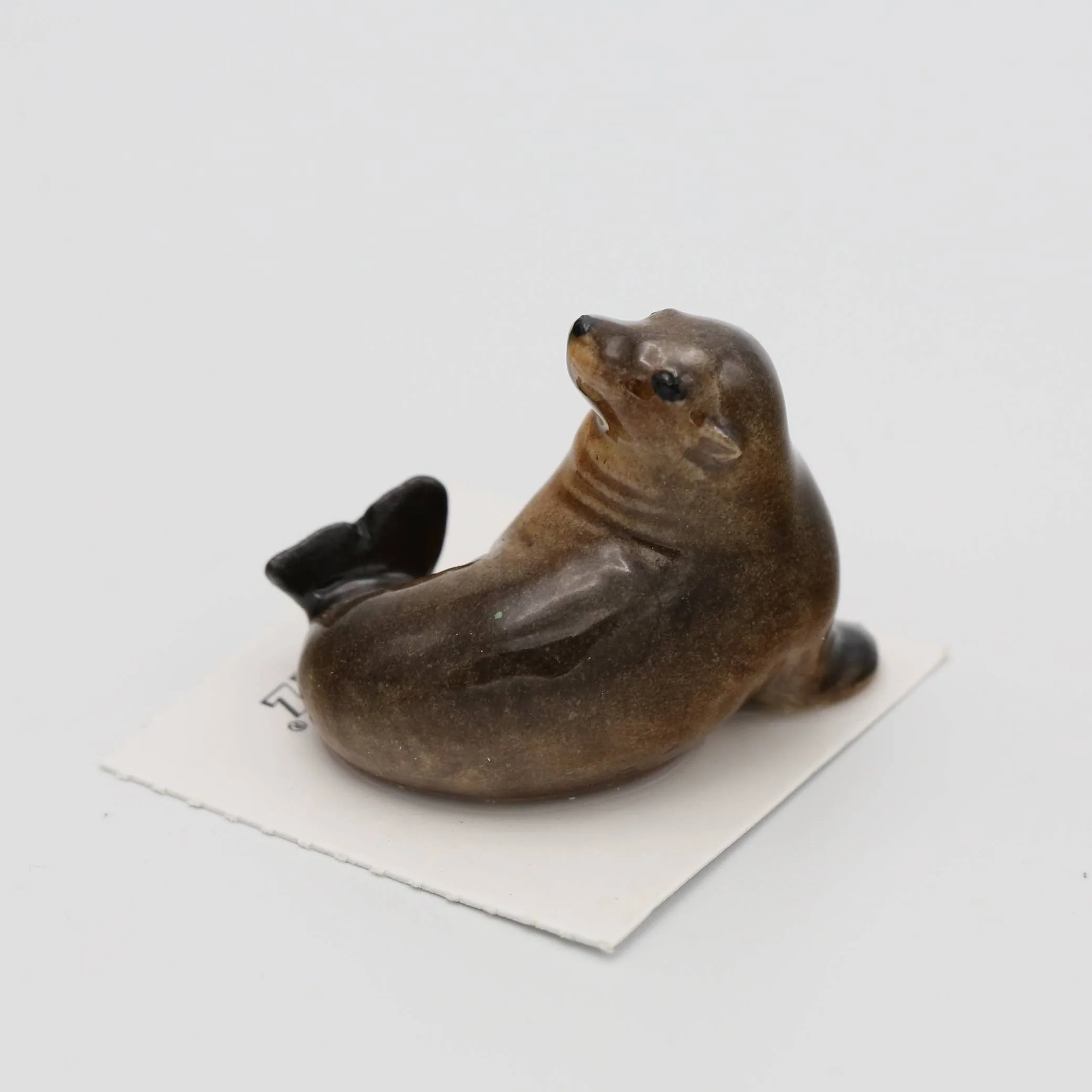 Pippa Adult Sea Lion Porcelain Miniature - Image 2