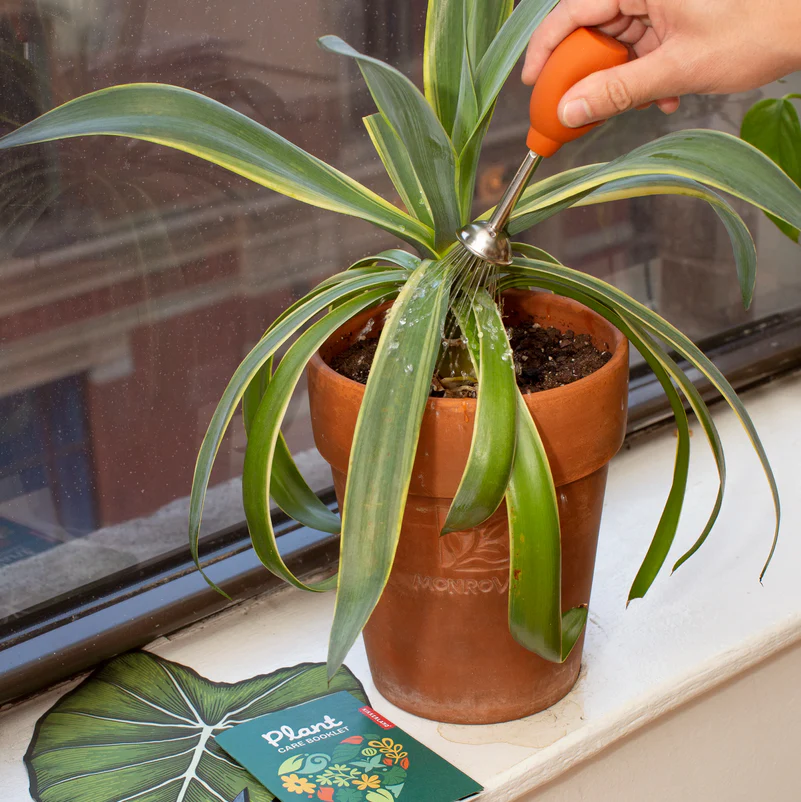 Plant Care Kit - Image 3