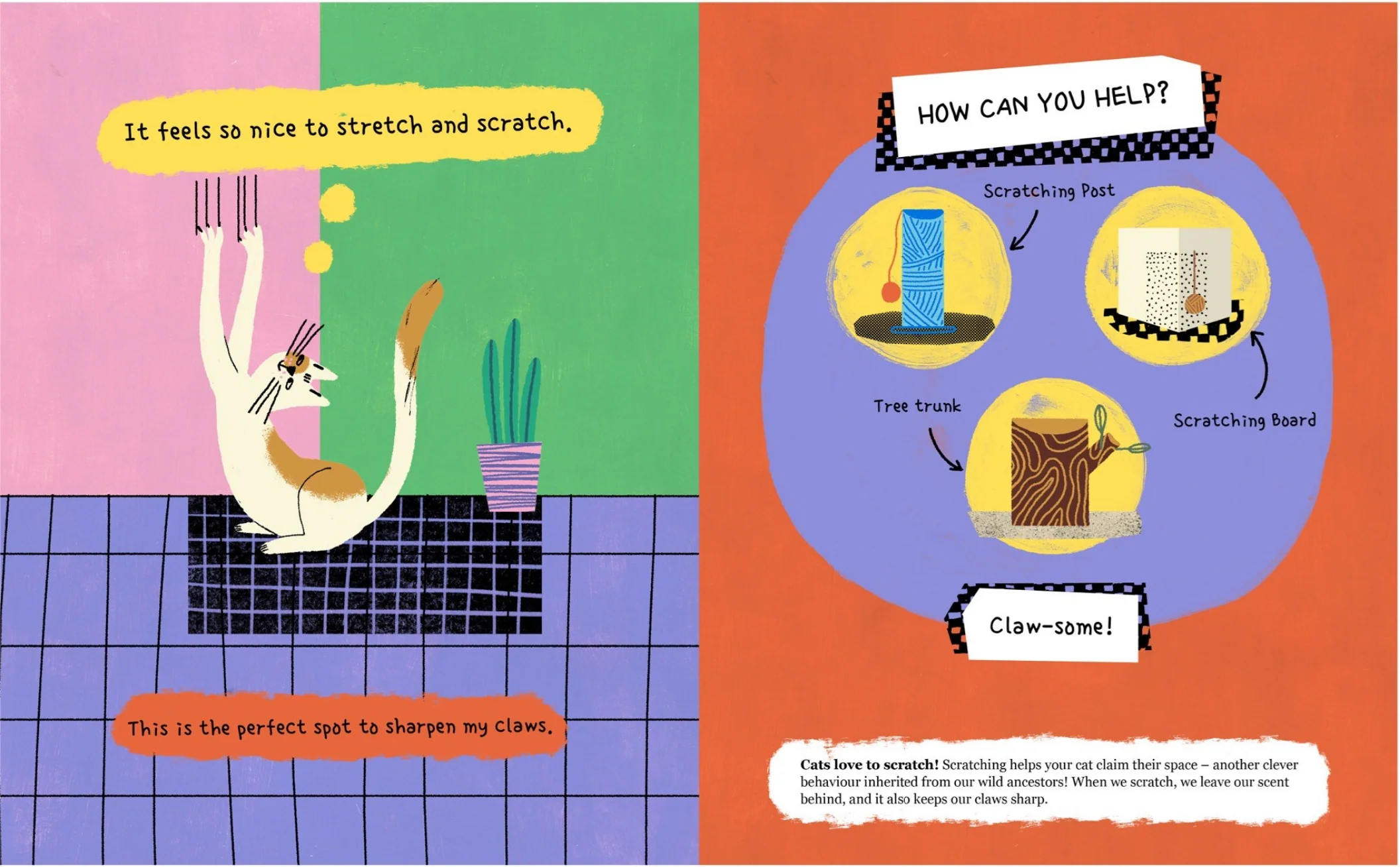 Please Look After this Cat: A Guide to Taking Care of Me - Image 3