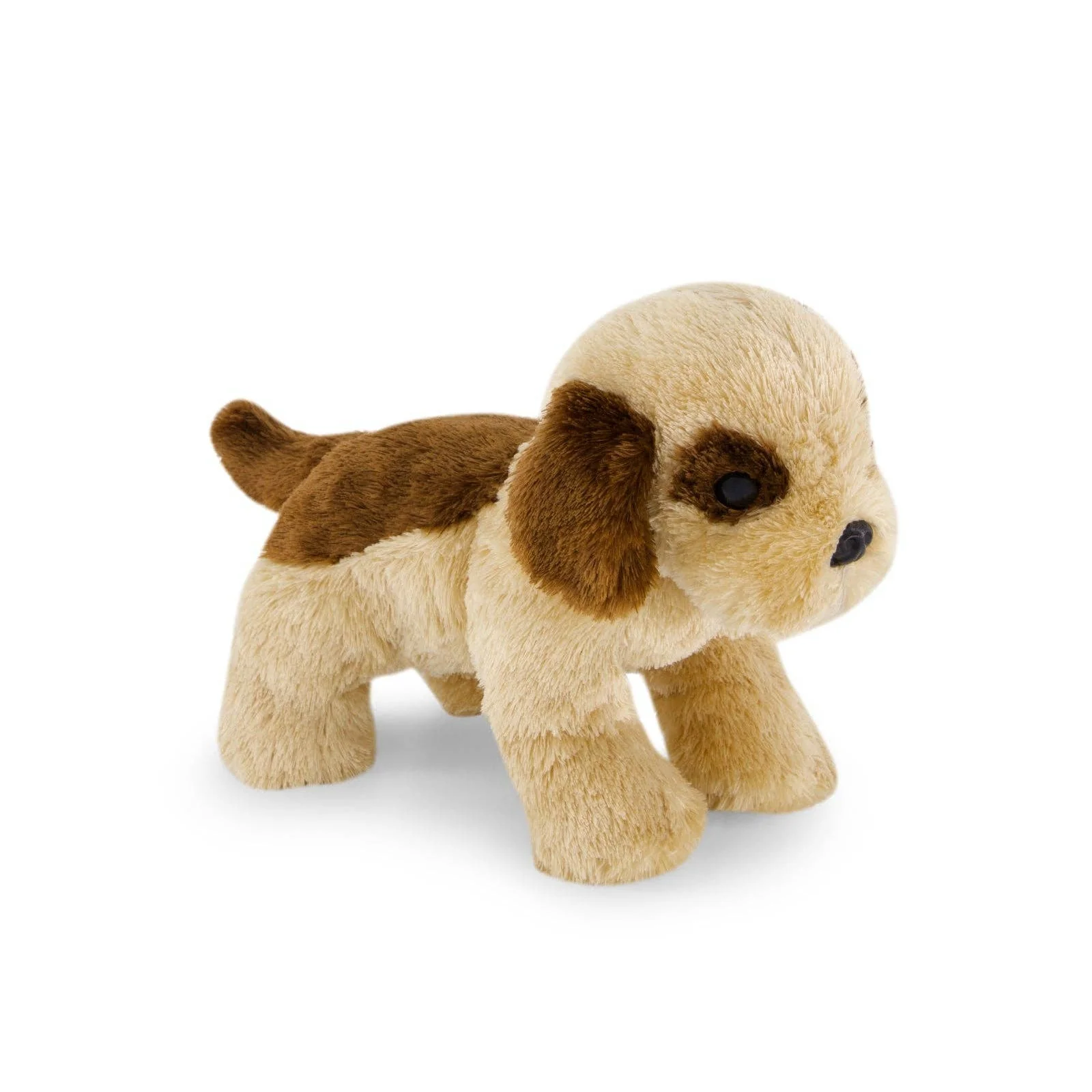 Coco the shih tzu - Image 2