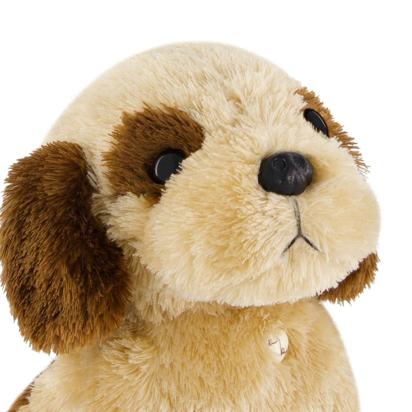 Coco the shih tzu - Image 3
