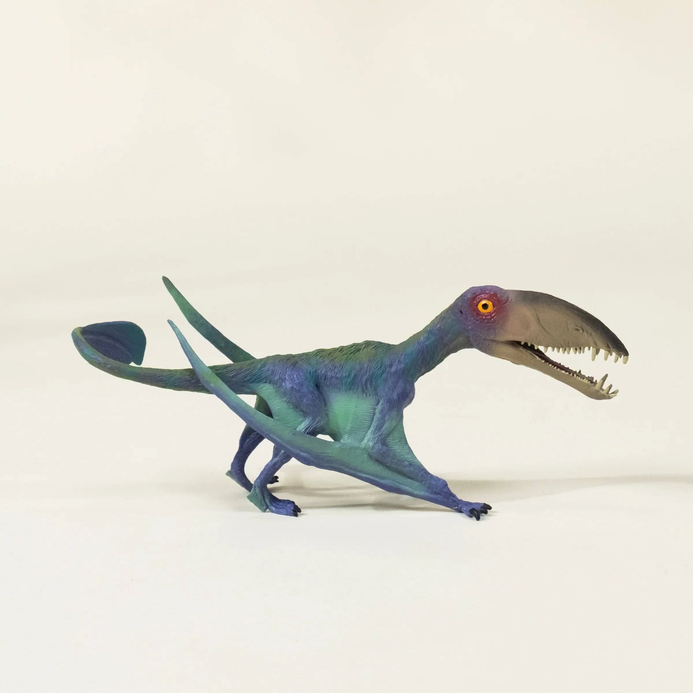 Pterosauria Dinosaur in a Collectible Box
