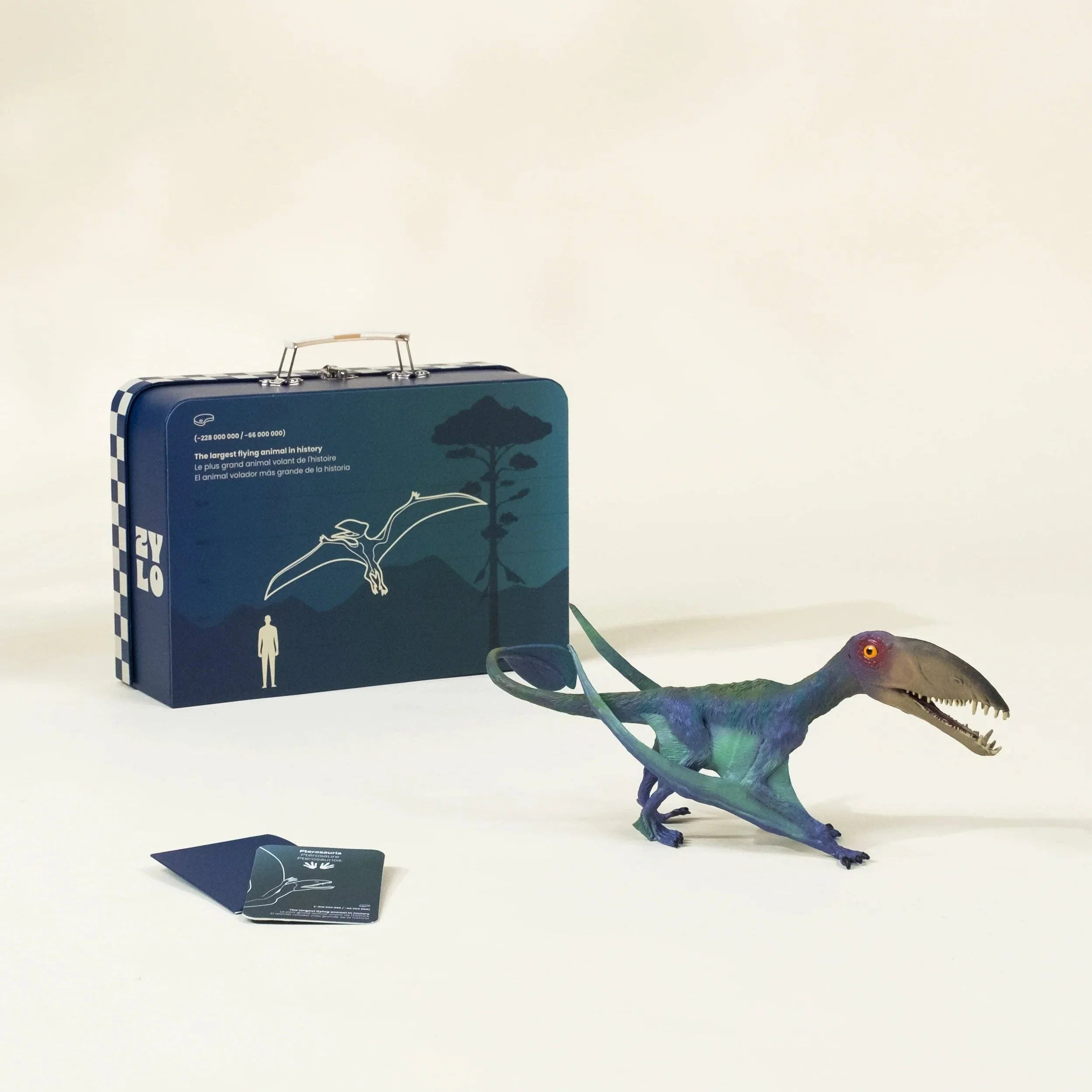 Pterosauria Dinosaur in a Collectible Box - Image 2