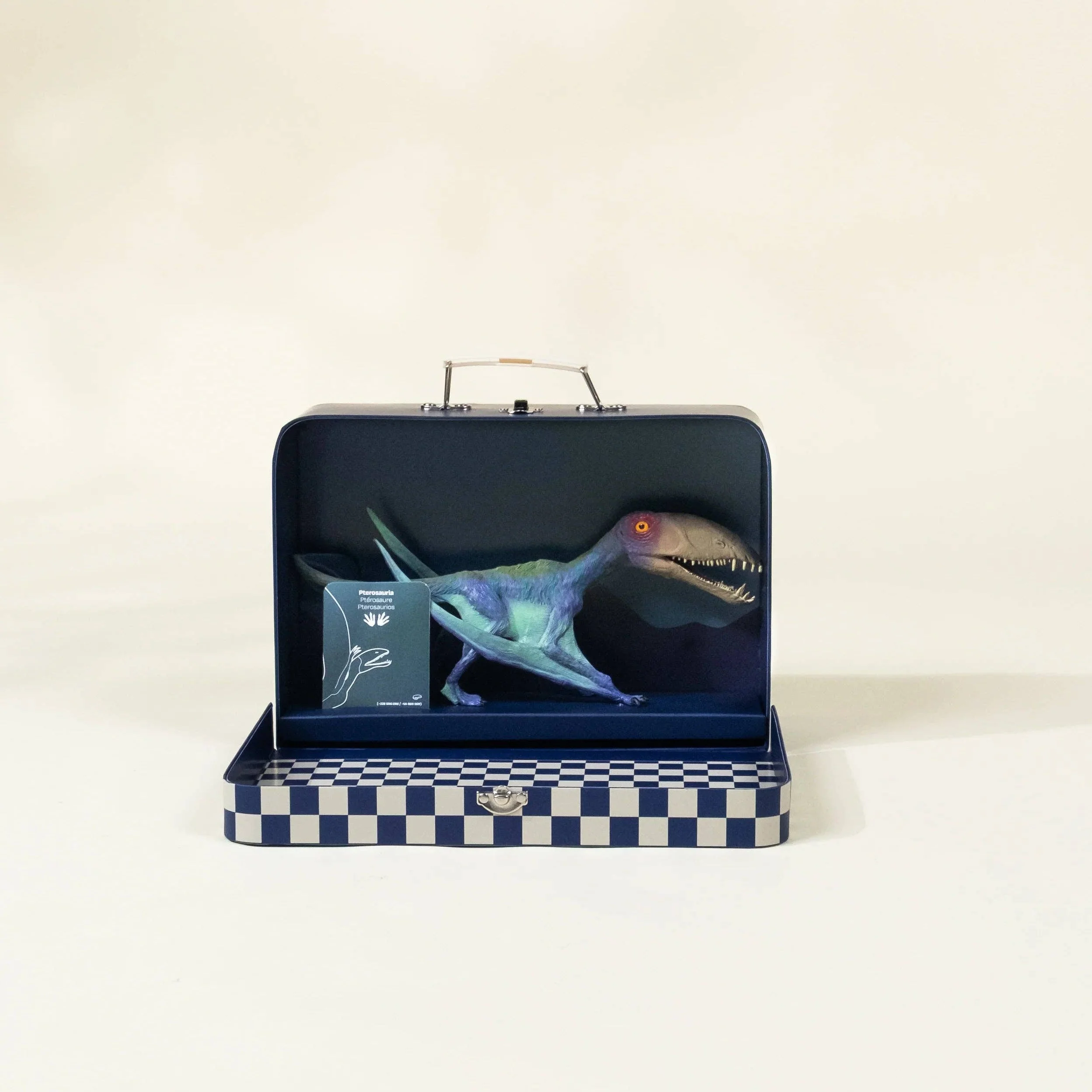Pterosauria Dinosaur in a Collectible Box - Image 4