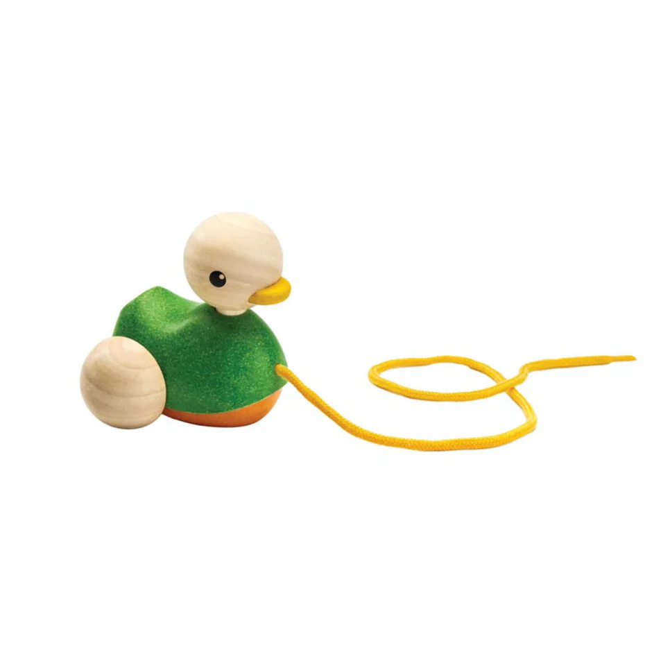 Pull Along Duck